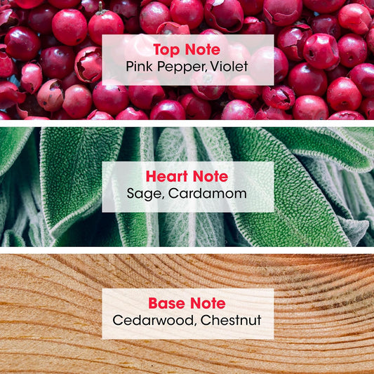 Boum Metal Eau De Toilette - Spray Perfume For Men - Woody Scent - Notes Of Pink Pepper, Violet - Made In France - 3.38 Fl.Oz