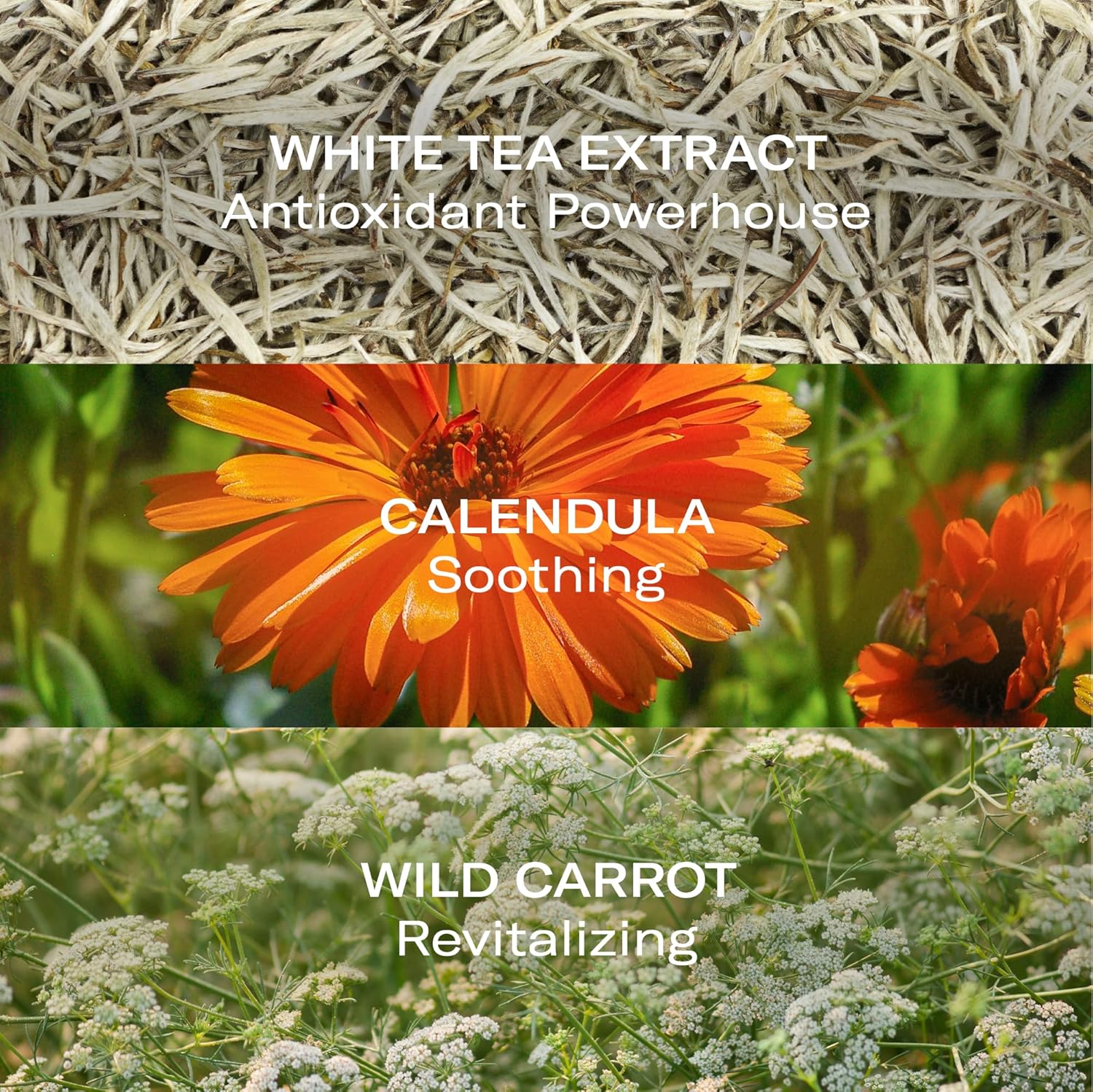 Odacite Odacité Face Cream Moisturizer - Oleosomes Hydrating Cream - Anti-Aging Lightweight Facial Moisturizer With Hyaluronic Acid For Hydration And Fine Lines, 1.69 Fl. Oz : Beauty & Personal Care