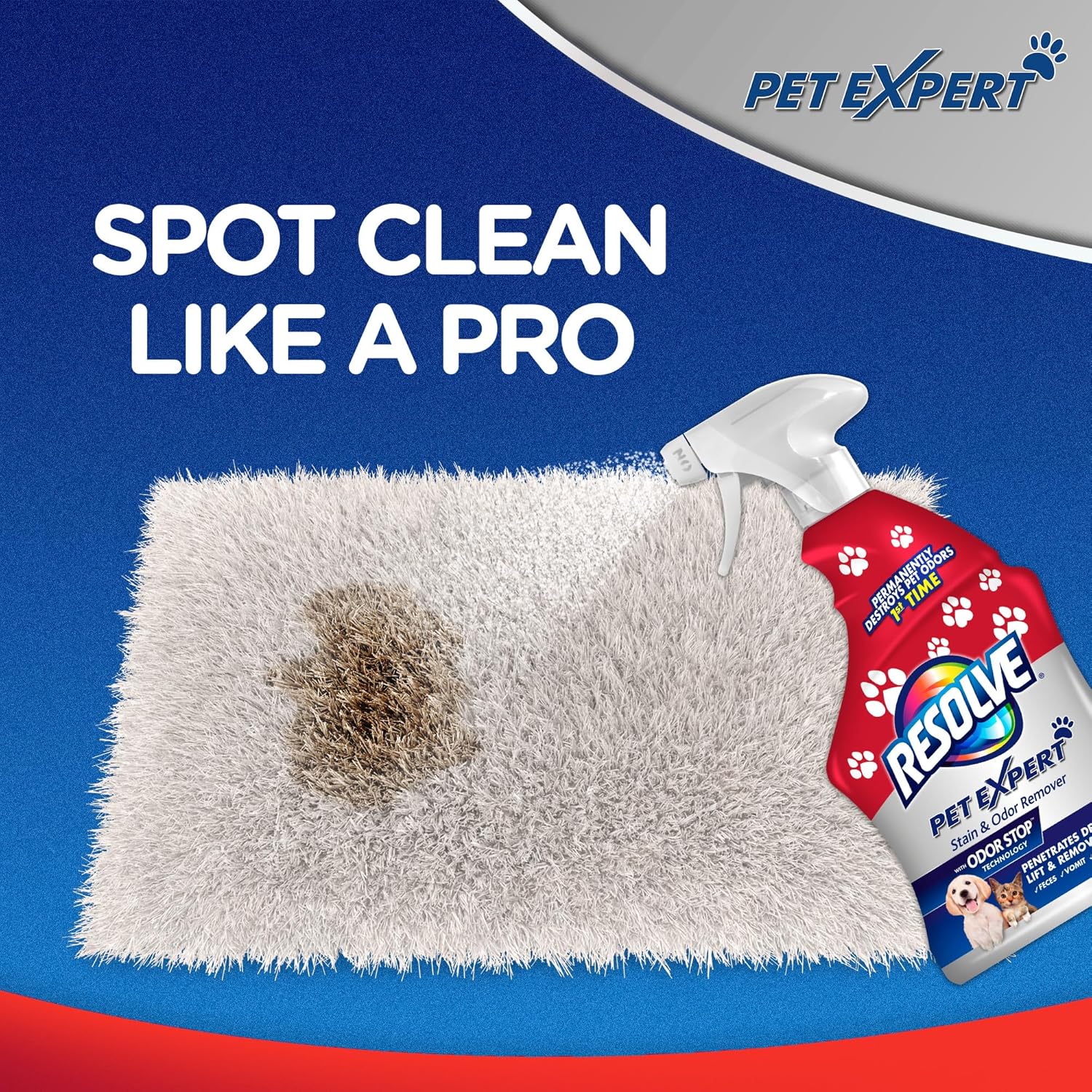 Resolve Pet Expert Carpet Spot & Stain Remover Spray, Pet Stain and Odor Remover, Carpet Cleaner, 22oz (Pack of 2) : Health & Household