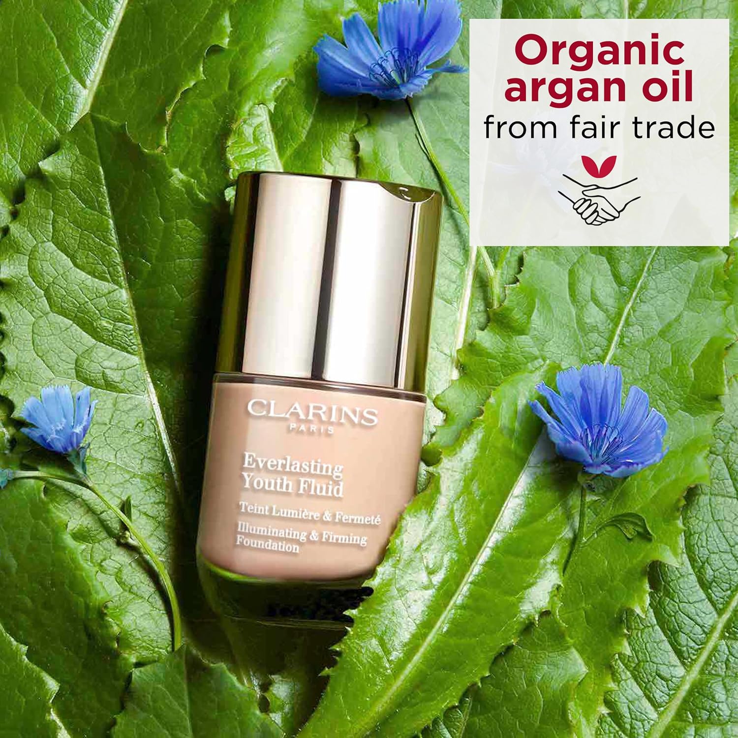 Clarins Everlasting Youth Fluid Foundation SPF15 108.3 Organza 30ml : Amazon.co.uk: Beauty