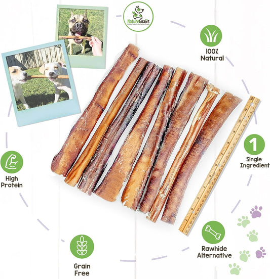 Nature Gnaws Extra Large Bully Sticks for Dogs - Premium Natural Beef Dental Bones - Thick Long Lasting Dog Chew Treats for Aggressive Chewers - Rawhide Free 6 Count (Pack of 1)