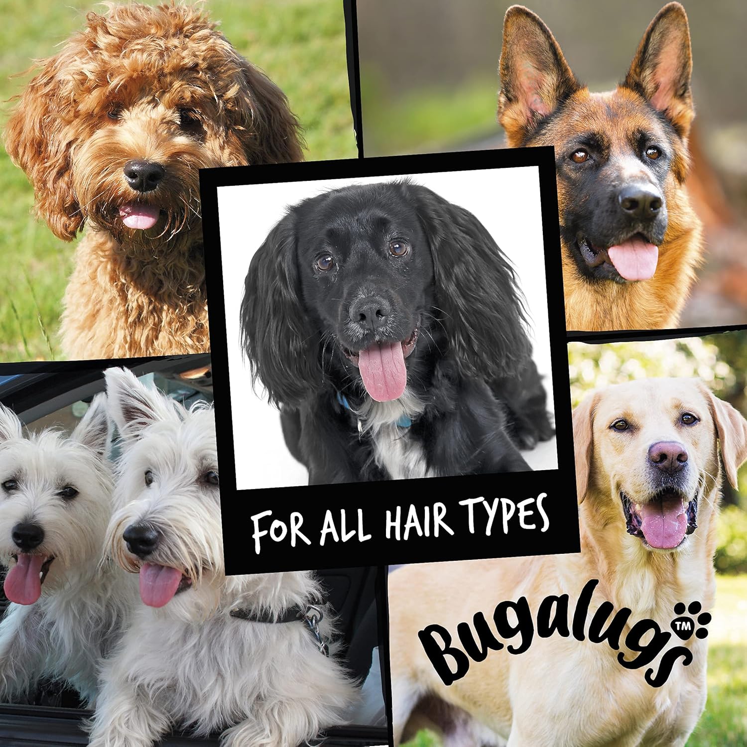 BUGALUGS Dog Shampoo Luxury 2 in 1 Papaya & Coconut dog grooming shampoo products for smelly dogs with fragrance, best puppy shampoo, professional groom Vegan pet shampoo & conditioner :Pet Supplies