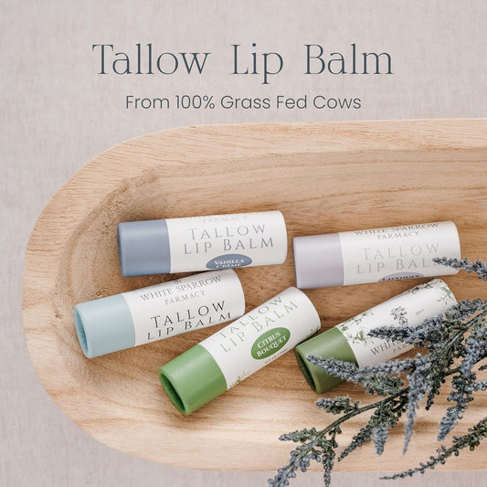 Organic Tallow Lip Balm (Lavender & Honey) From Grass Fed Cows. Super Hydrating With Tallow, Olive Oil, Honey, And Beeswax. Sustainable Cardboard Tubes & Hand Filled. Jumbo Size 0.5 Oz