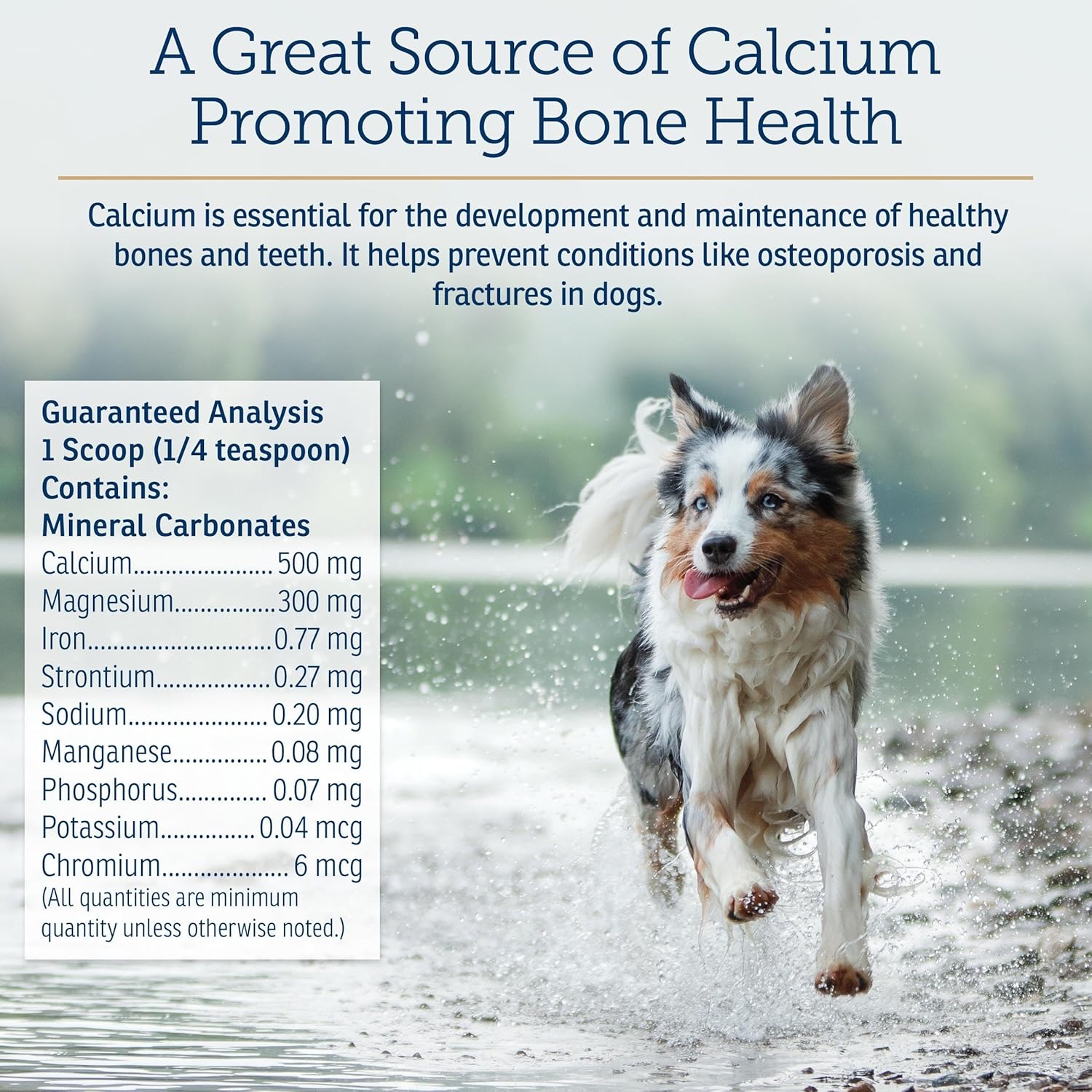 Rx Vitamins Canine Minerals - Essential Minerals For Dogs - Calcium, Magnesium, Iron Supplement, Bone And Joint Supplement For K9, Immune Support - 16Oz : Pet Supplies
