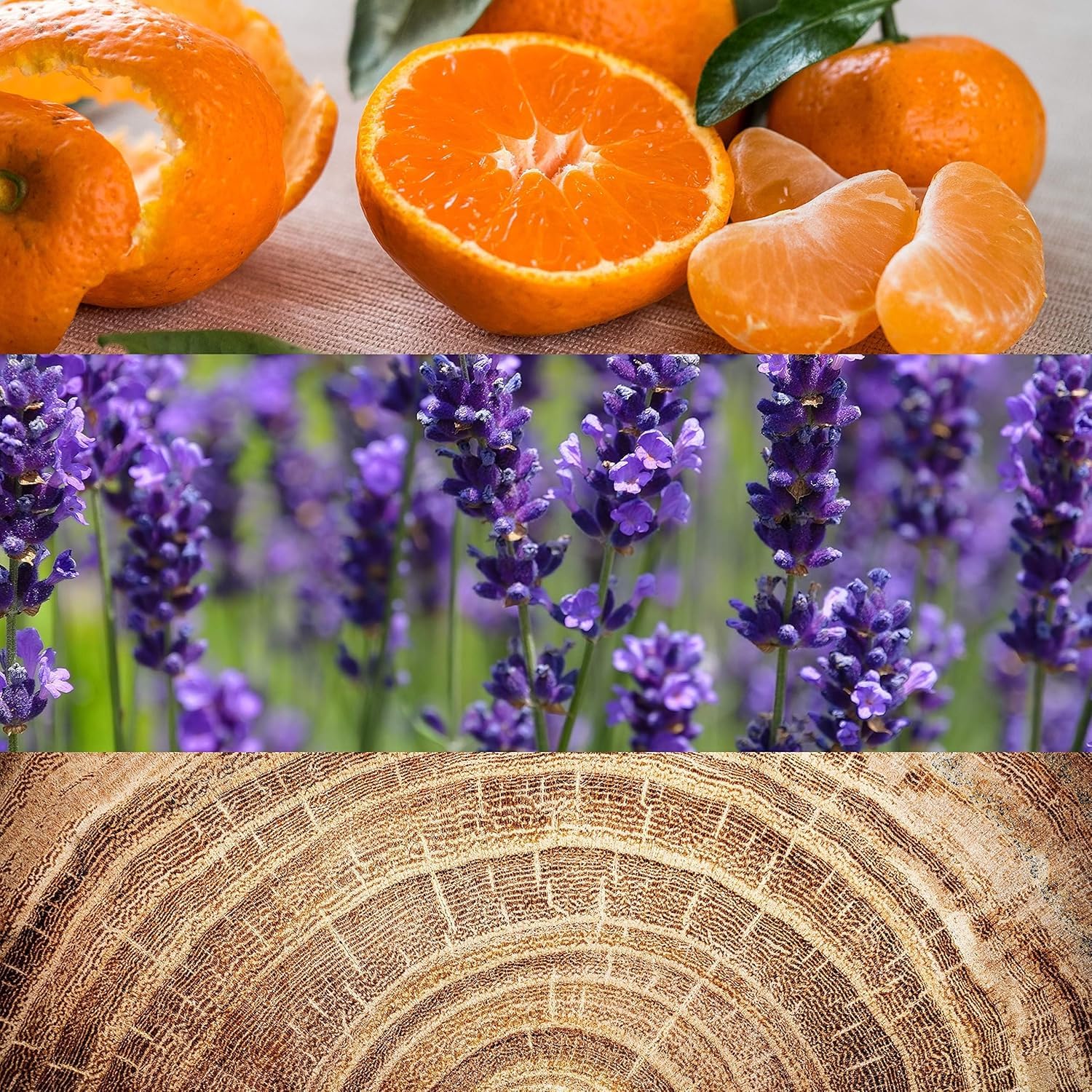 Calvin Klein Obsession After Shave For Men With Notes Of Bergamot, Lavender, Sage, Musk & Sandalwood 4.2 Fl Oz : Calvin Klein: Beauty & Personal Care