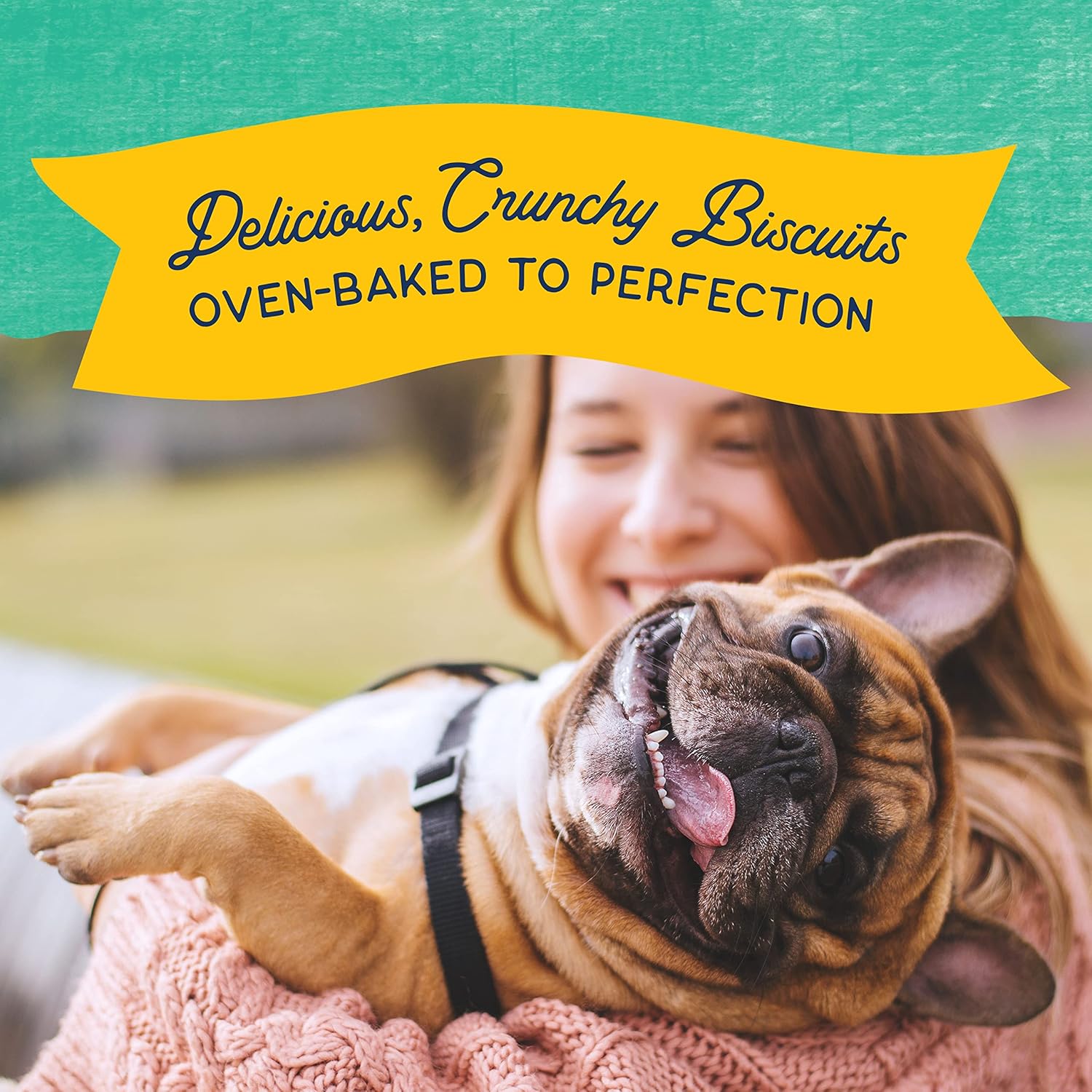 Natural Balance Limited Ingredient Rewards Crunchy Biscuits, Grain-Free Dog Treats for Adult Dogs of All Breeds, Chicken Recipe, 28 Ounce (Pack of 1) : Pet Supplies