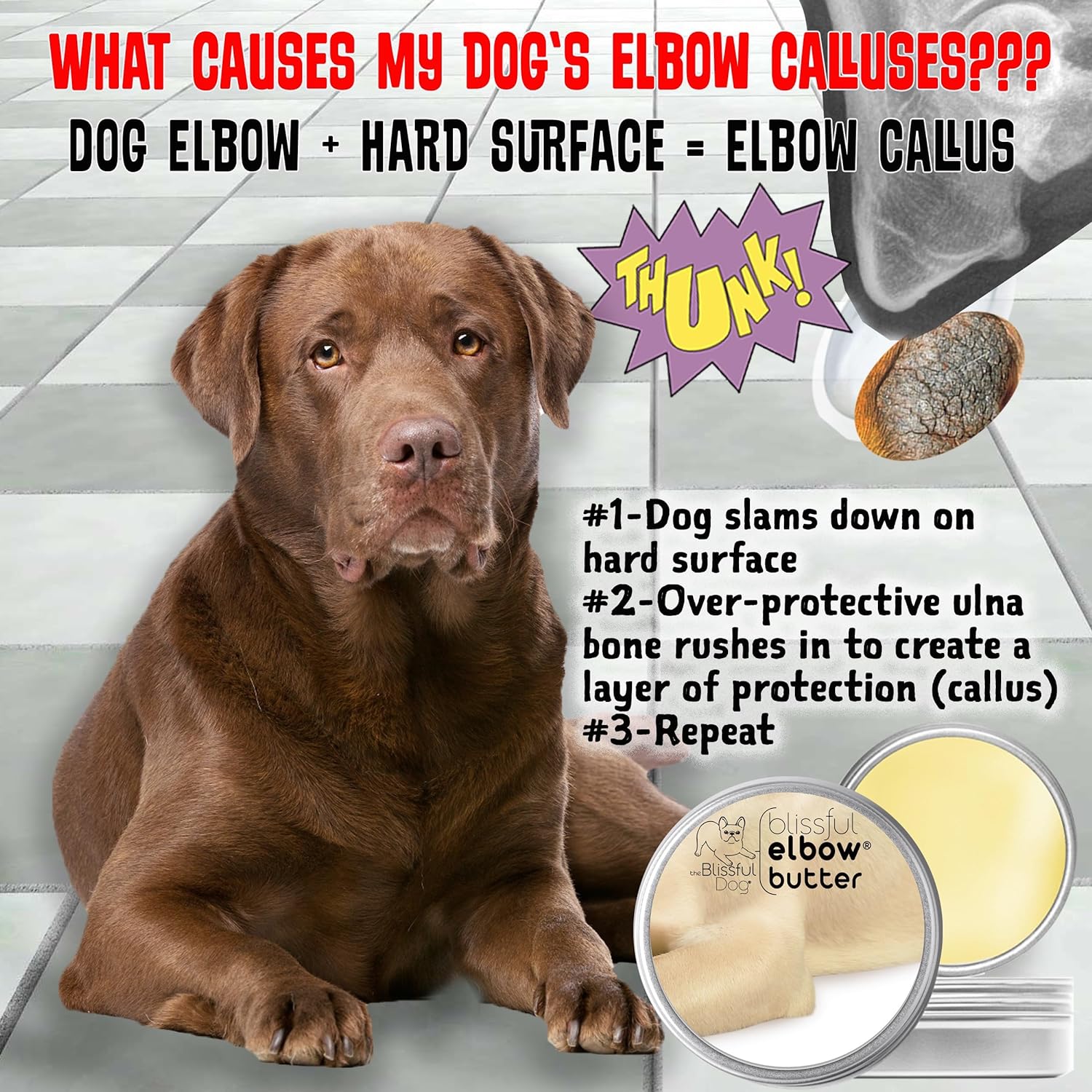 The Blissful Dog Elbow Butter, Moisturizer for Dry, Cracked Elbow Calluses, Versatile Dog Balm, Lick-Safe Elbow Balm for Dogs, 2 oz. : Pet Supplies