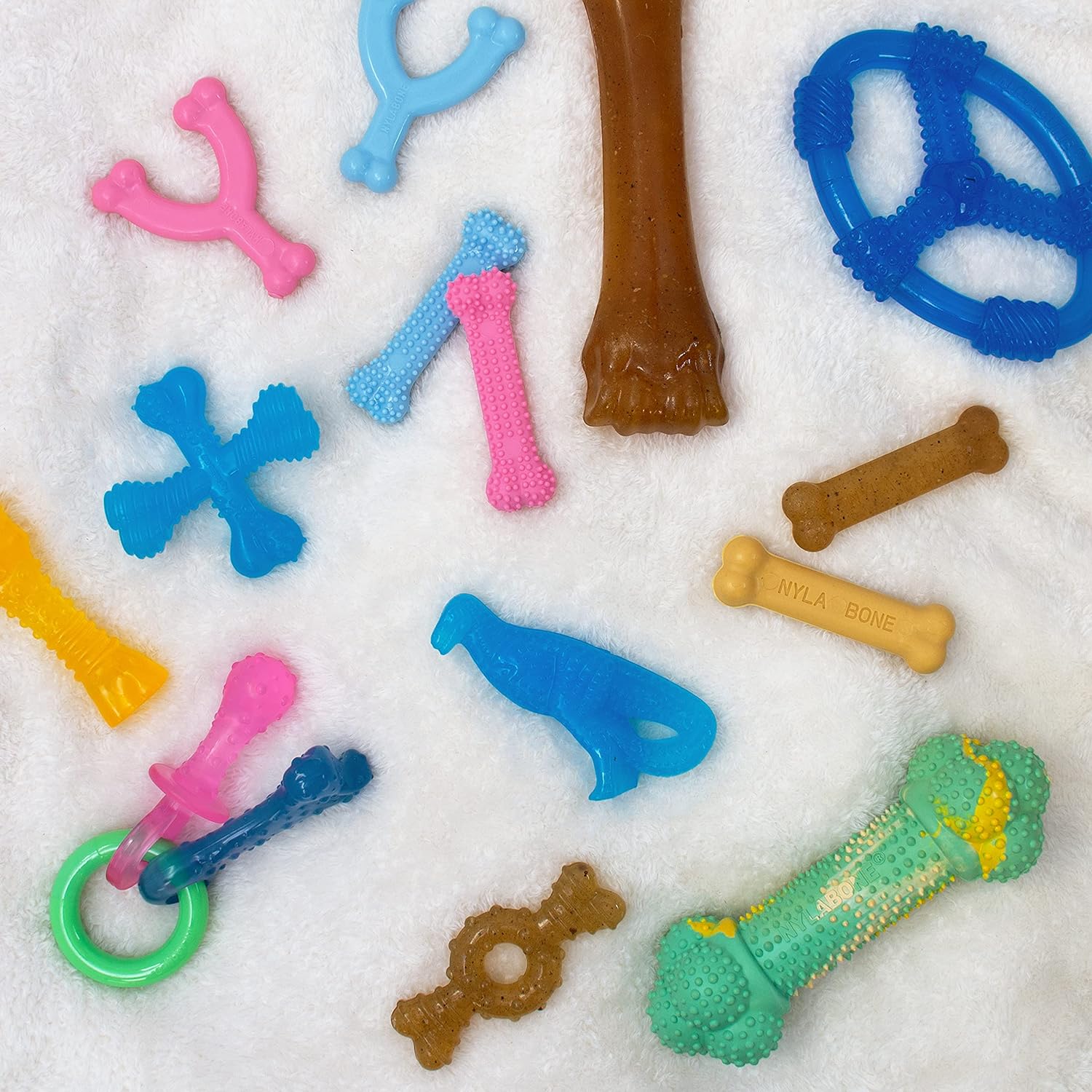 Pet Supplies : Pet Chew Toys : Nylabone Puppy Chew Teething Pacifier - Puppy Chew Toy for Teething - Puppy Supplies - Bacon Flavor, Small/Regular (1 Count) : Amazon.com