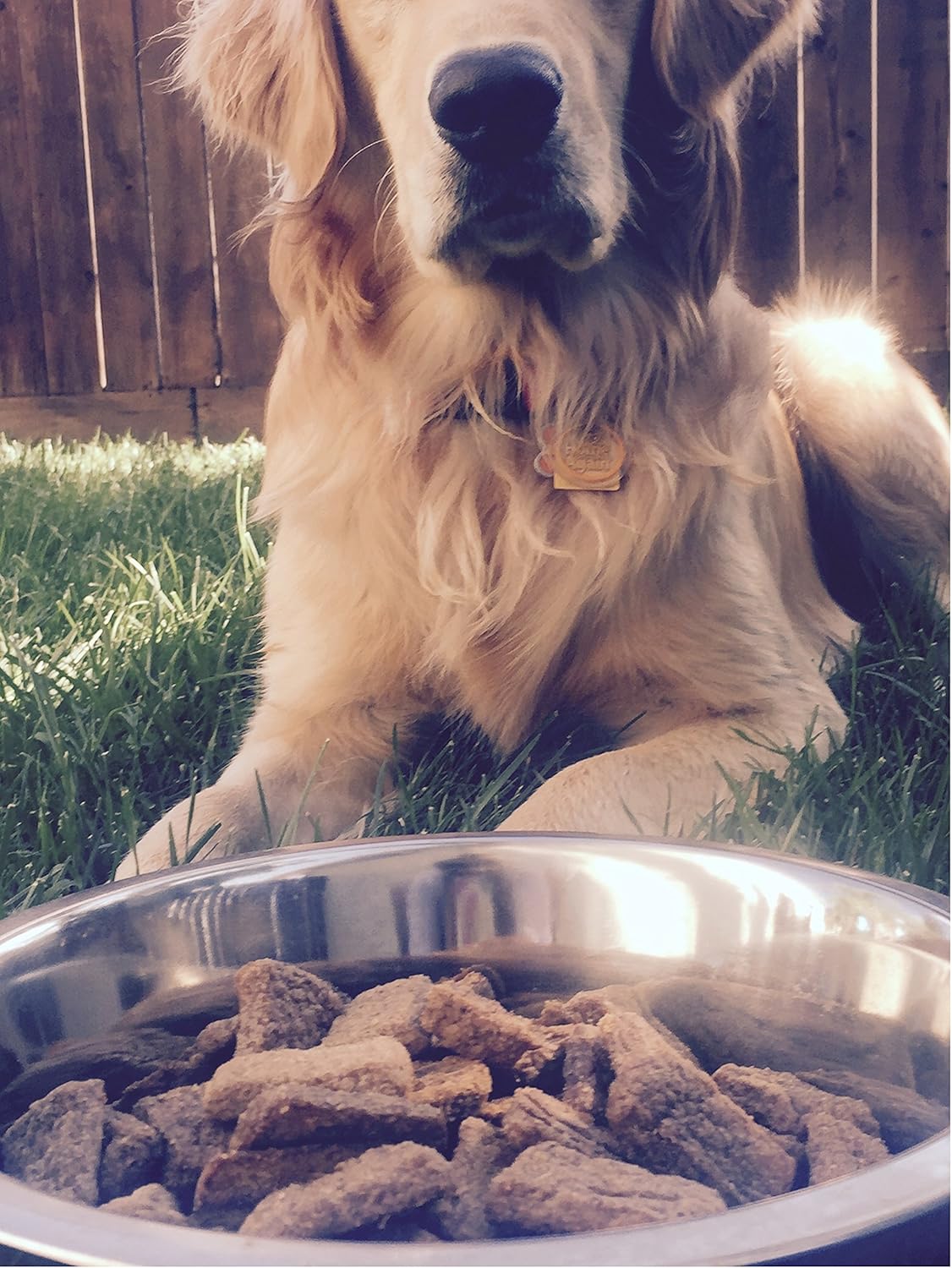PLATO Original Real Strips Salmon 6oz : Pet Snack Treats : Pet Supplies