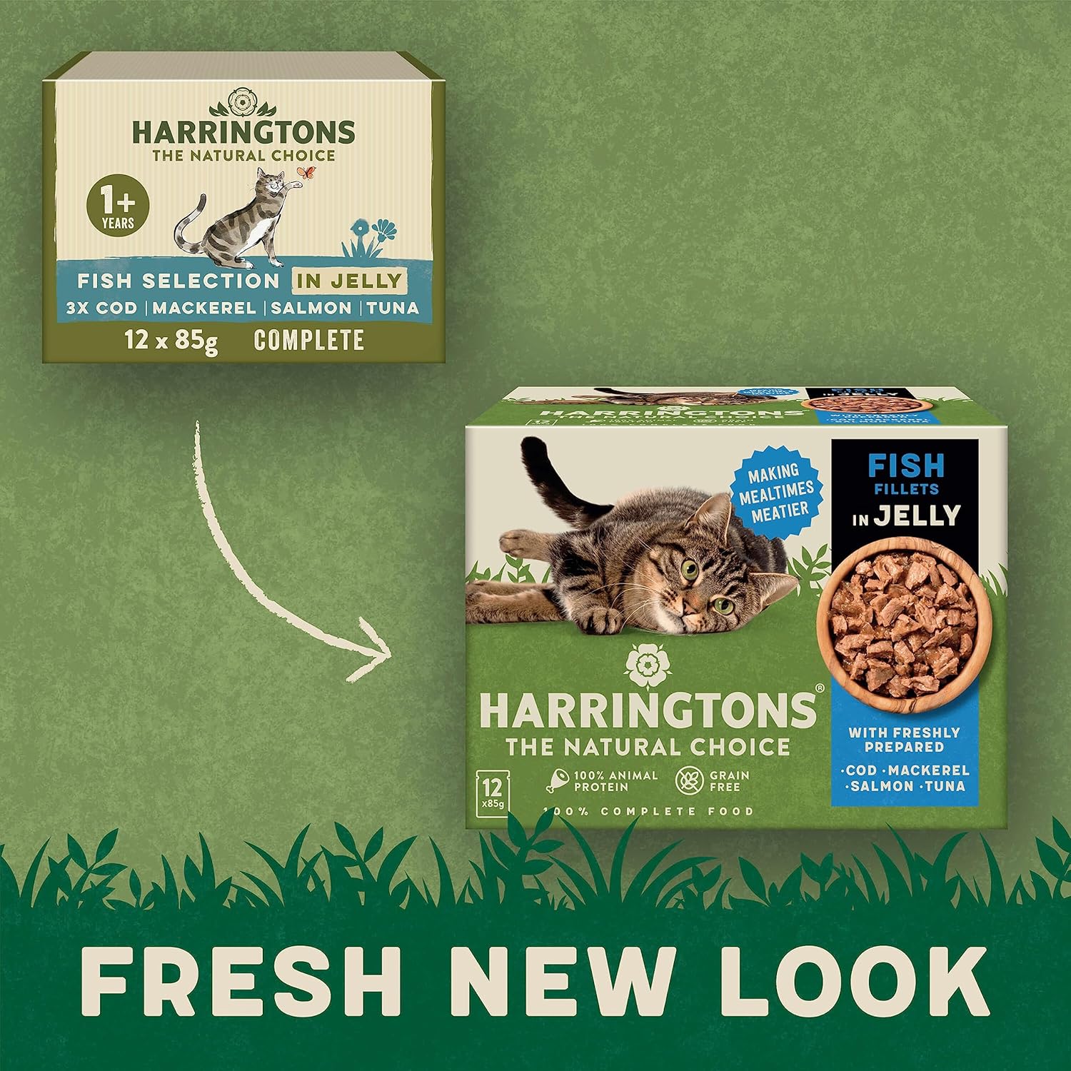 Harringtons Grain Free Fish Selection in Jelly Wet Cat Food 72x85g,Cod, Mackerel, Salmon & Tuna :Pet Supplies