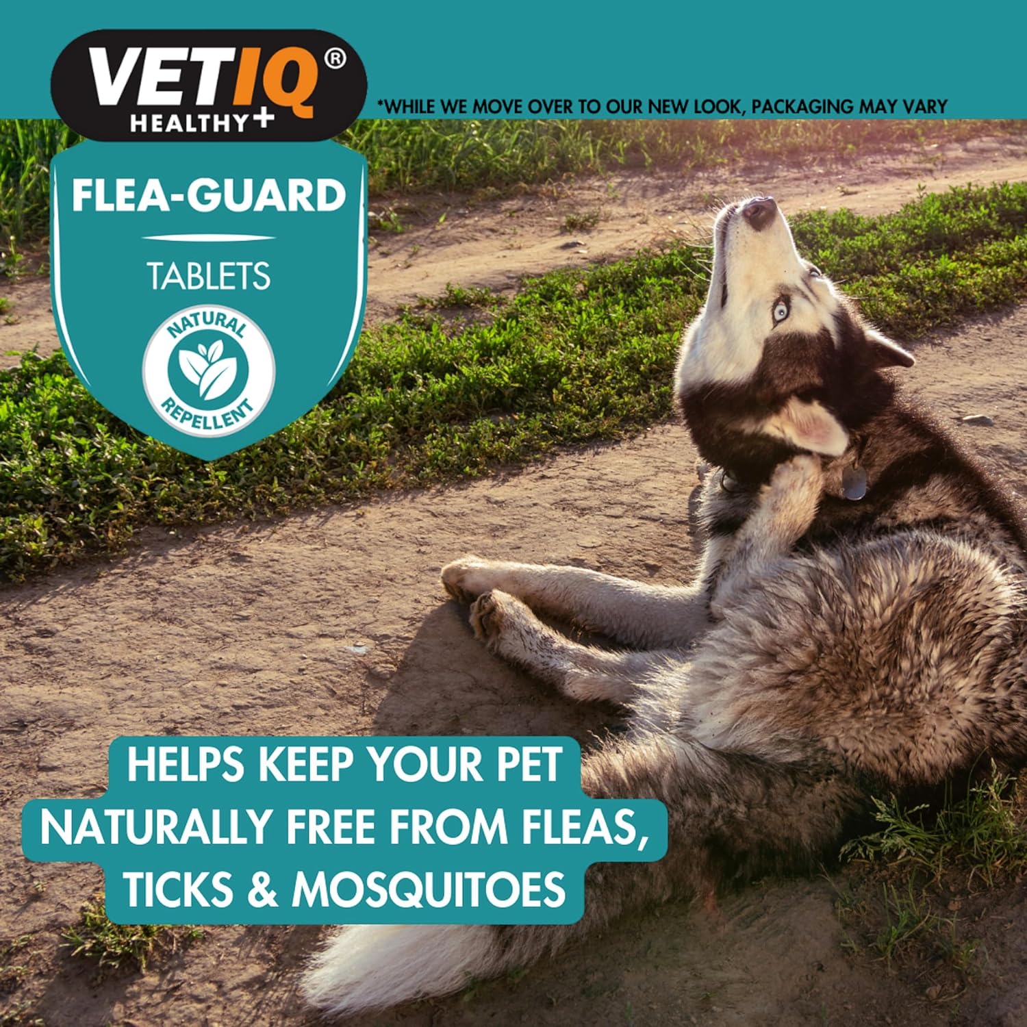 VetIQ Flea Guard, Flea Treatment for Dogs & Cats Keeps Fleas,Ticks & Mosquitoes Away,Natural Flea Treatment With B Vitamins & Garlic,Dog & Cat Flea Treatment For Healthy Skin, 90 count (Pack of 1) :Pet Supplies