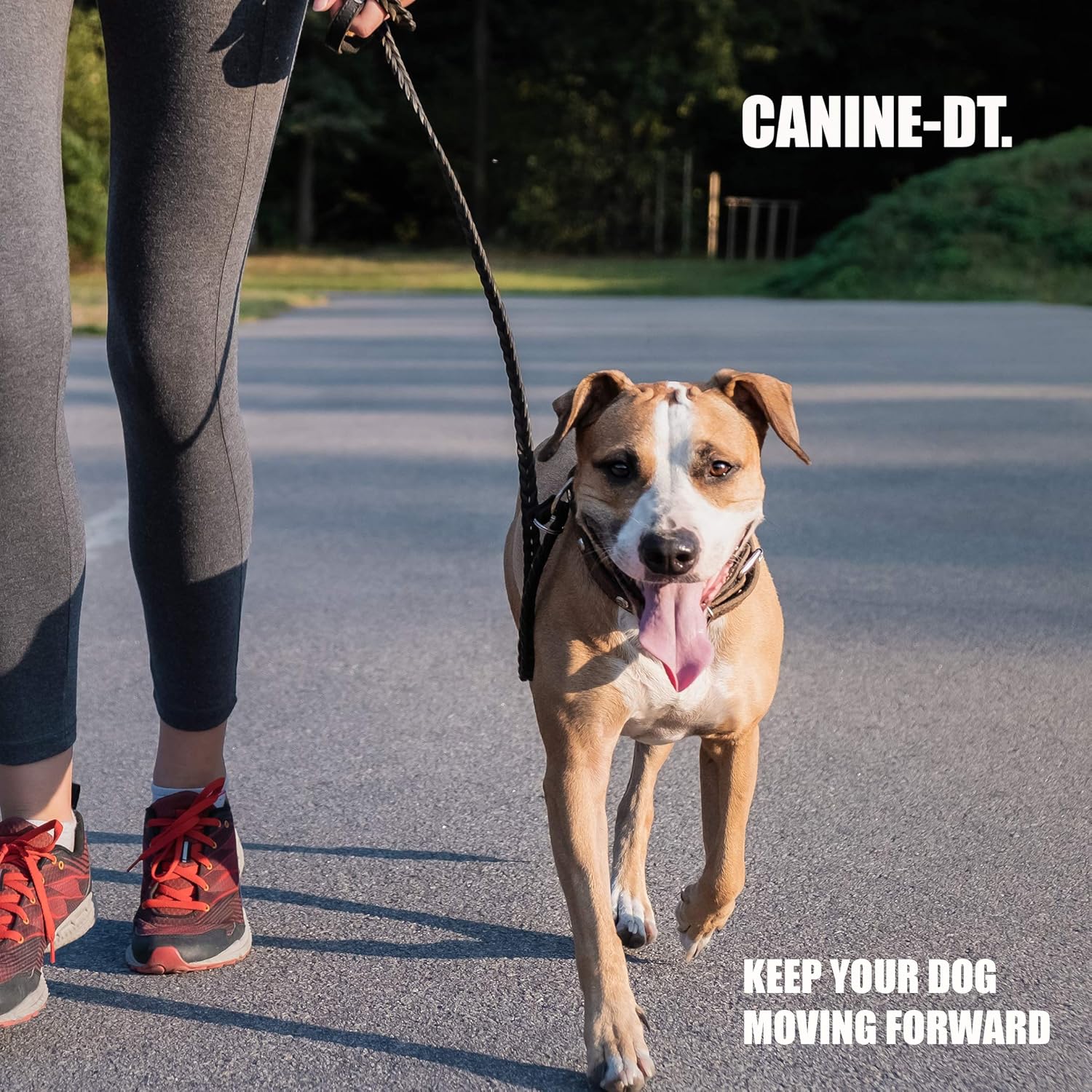 Amber Naturalz Canine Dt Herbal Supplement For Dogs | Canine Supplement For Muscle, Nose, Paw Pad, Nerve, And Neurological Support | 1 Fluid Ounce Glass Bottle | Manufactured In The Usa : Herbal Supplements : Pet Supplies