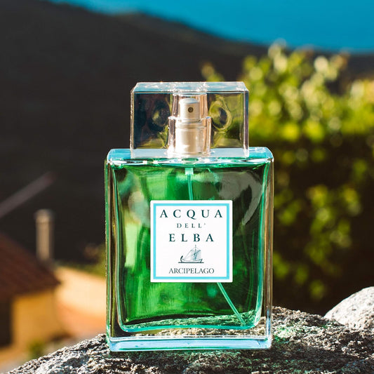 Acqua dell'Elba Arcipelago Uomo Eau de Parfum (For Him) 50ml : Amazon.co.uk: Beauty