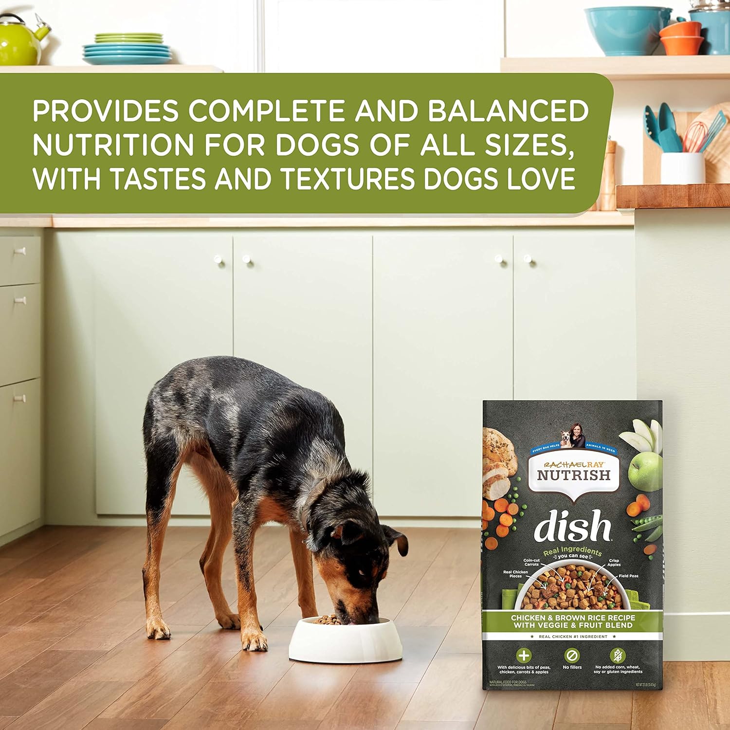 Rachael Ray Nutrish Dish Premium Natural Dry Dog Food with Added Vitamins, Minerals & Taurine, Chicken & Brown Rice Recipe with Veggies & Fruit, 23 Pound Bag : Pet Supplies