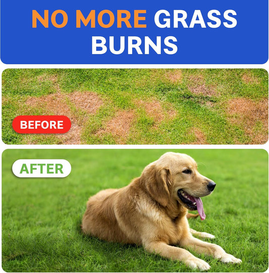 Bark&Spark Green Grass Chews - Pee Grass Spot Saver Caused By Dog Urine - Urine Neutralizer For Lawn, Gut Health Probiotics & Digestive Enzymes,Lawn Burn From Dog Urine, Grass Burn Spot Chews, Rocks