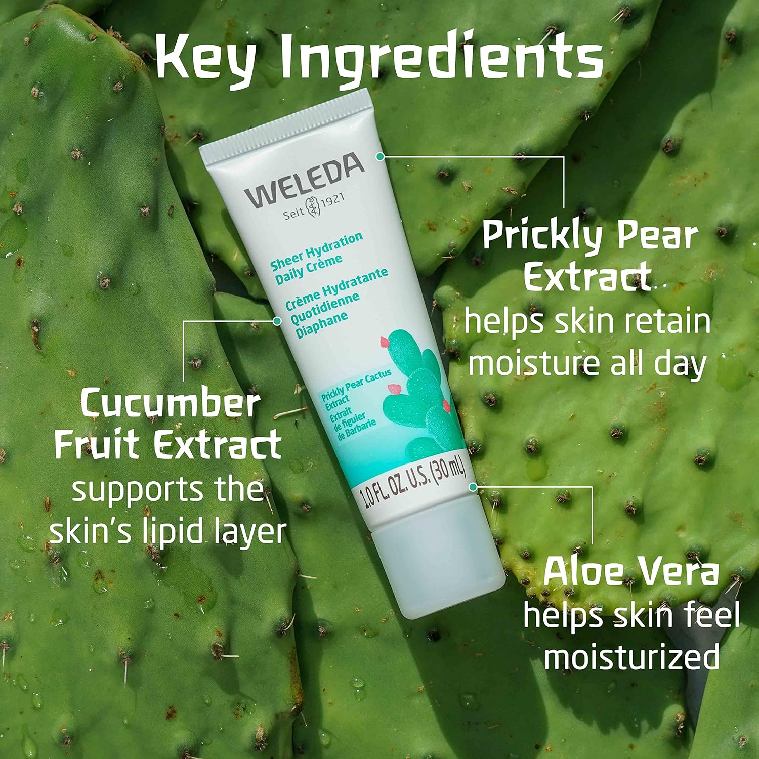 Weleda Sheer Hydration Daily Face Crème, 1 Fluid Ounce, Plant Rich Moisturizer with Prickly Pear Cactus Extract and Aloe Vera, 1 Fl Oz (Pack of 1) : Beauty & Personal Care