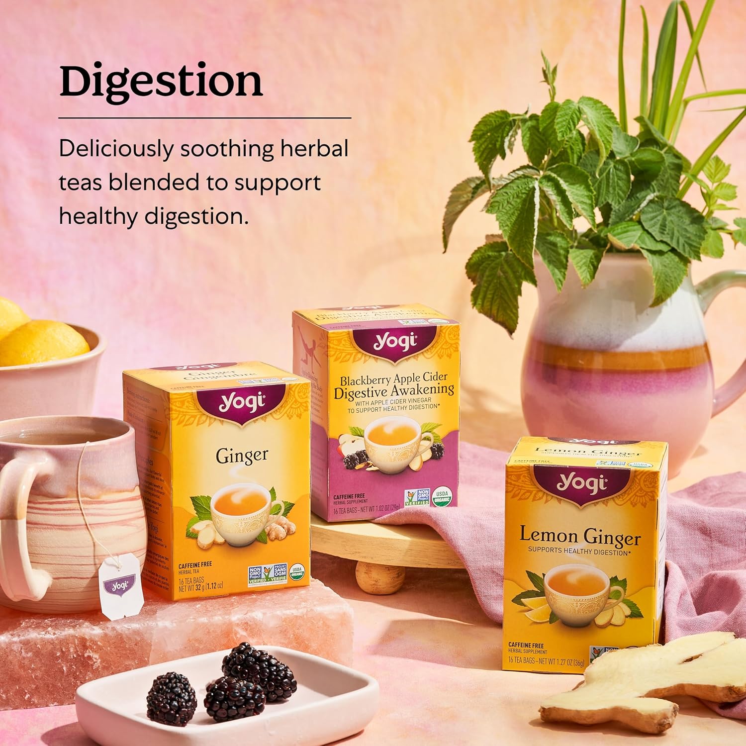 Yogi Tea Lemon Ginger Tea - 16 Tea Bags Per Pack (6 Packs) - Organic Ginger Root Tea To Support Healthy Digestion - Includes Lemongrass, Lemon Flavor, Licorice Root, Lemon Peel & More