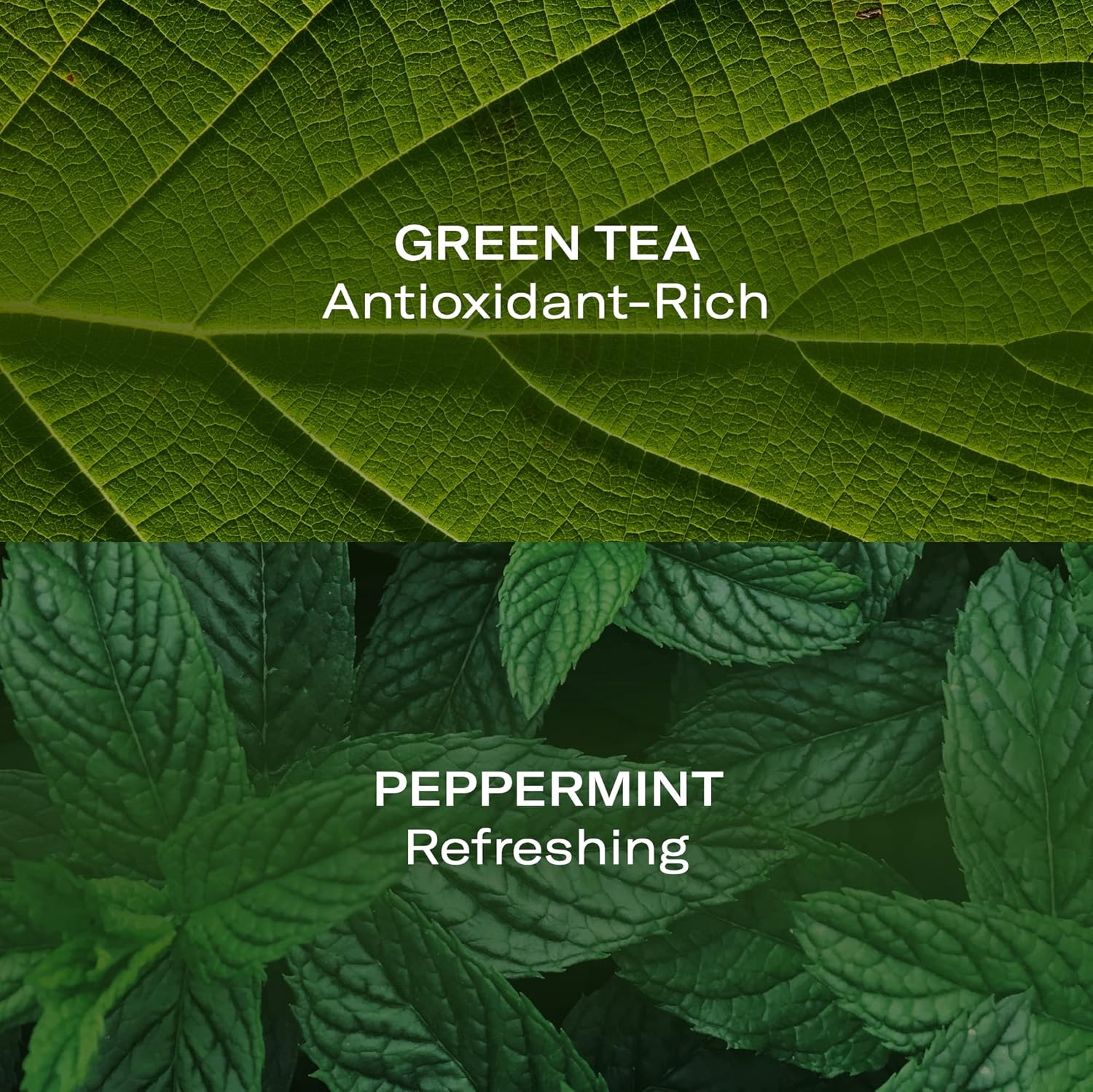 Odacité Anti Aging Face Serum - Mint & Green Tea Hydra-Purifying Mist Glow Recipe, Acne & Pimple Prone Skin, Clearing Face Mist For Hydration, Blemishes, Clogged Pores, Tired Complexion - 1.69 Fl. Oz : Beauty & Personal Care