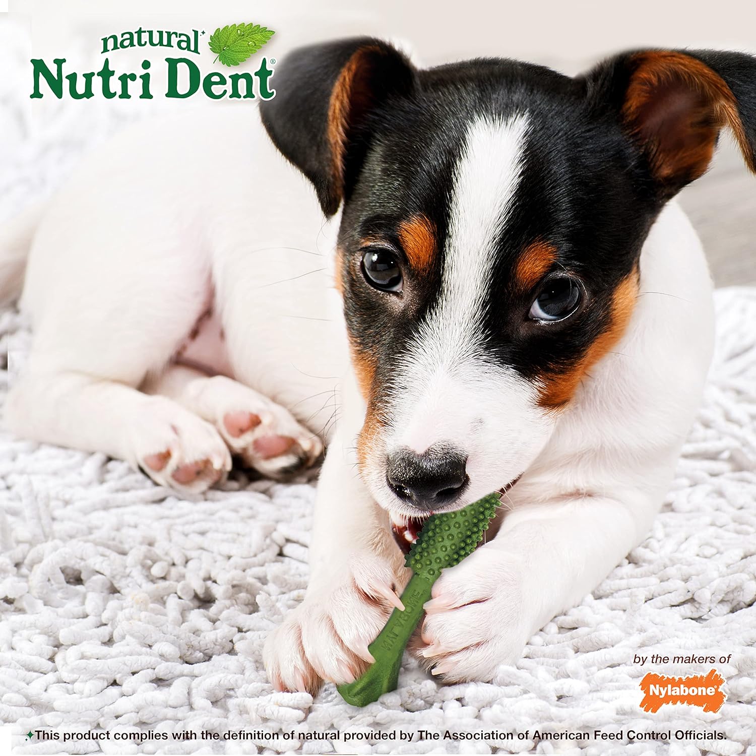 Nylabone Nutri Dent Dog Dental Chews - Natural Dog Teeth Cleaning & Breath Freshener - Dental Treats for Dogs - Fresh Breath Flavor, Small (64 Count)