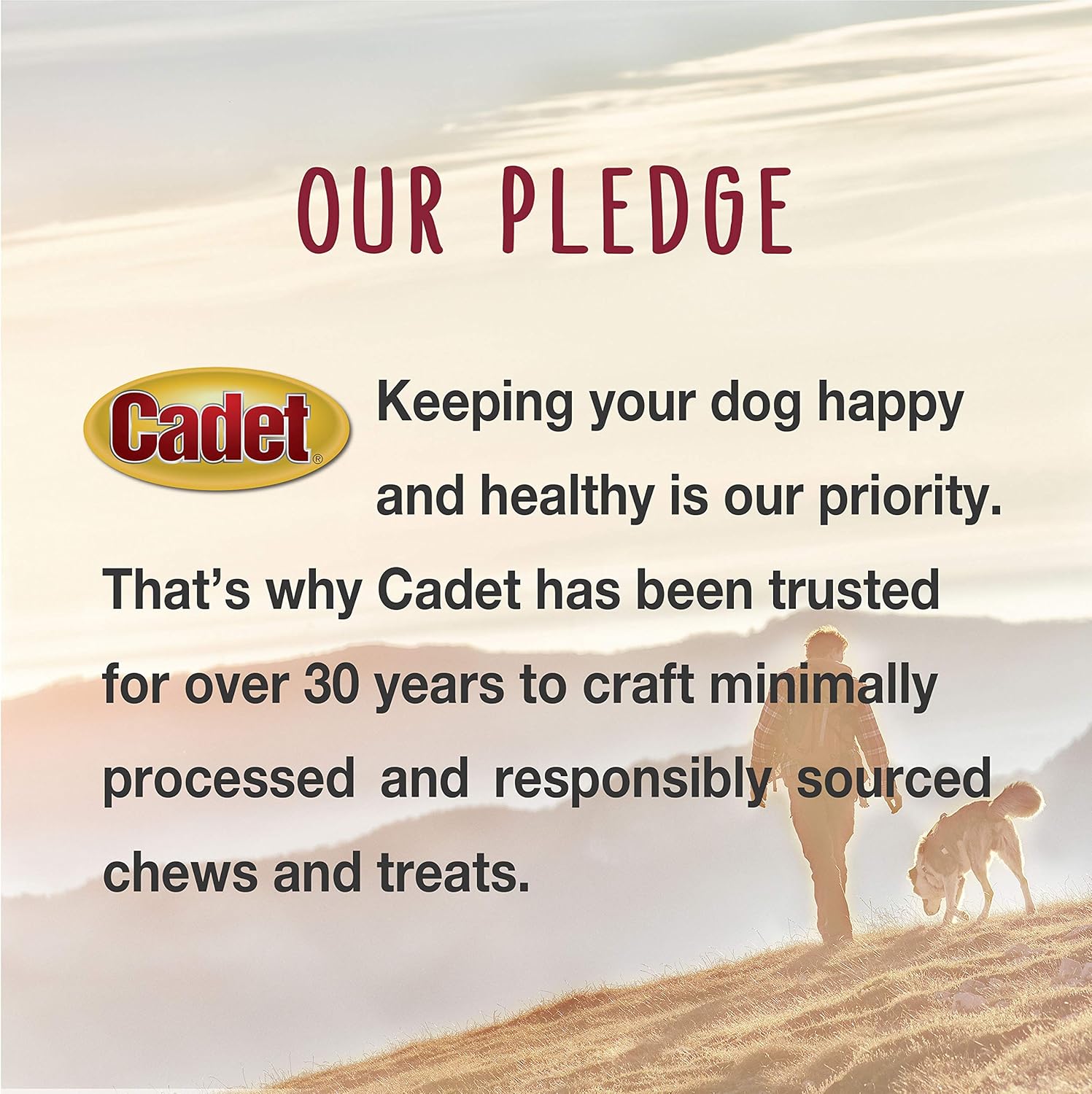 Cadet Junior Stuffed Shin Bones - Highly Digestible, High Protein, Long-Lasting Dog Chew Bone for Aggressive Chewers, Supports Dental Health, - Peanut Butter Flavor, Mini (2 Count) : Pet Supplies
