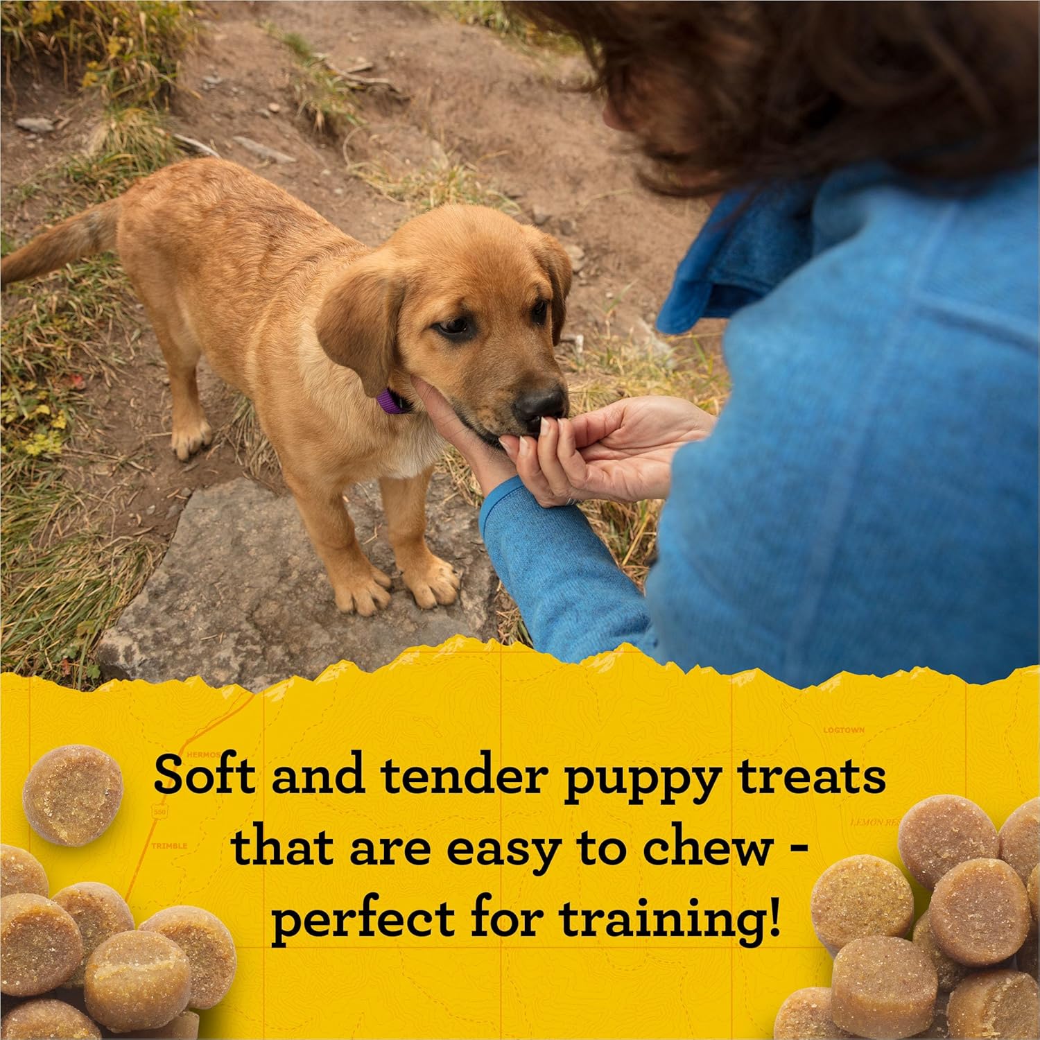 Zuke’s Puppy Naturals Bag of Soft Puppy Treats for Training, Natural Dog Treats Bites With Lamb Recipe - 5 Ounce (Pack of 1) : Pet Supplies