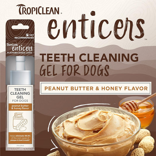 TropiClean Enticers Teeth Cleaning Gel for Dogs - Peanut Butter & Honey Flavor, 2oz - Dental Gel - Helps Fight Plaque & Bad Breath - Flavor Dogs Love - No Brushing RequiredENPHGLKT2Z