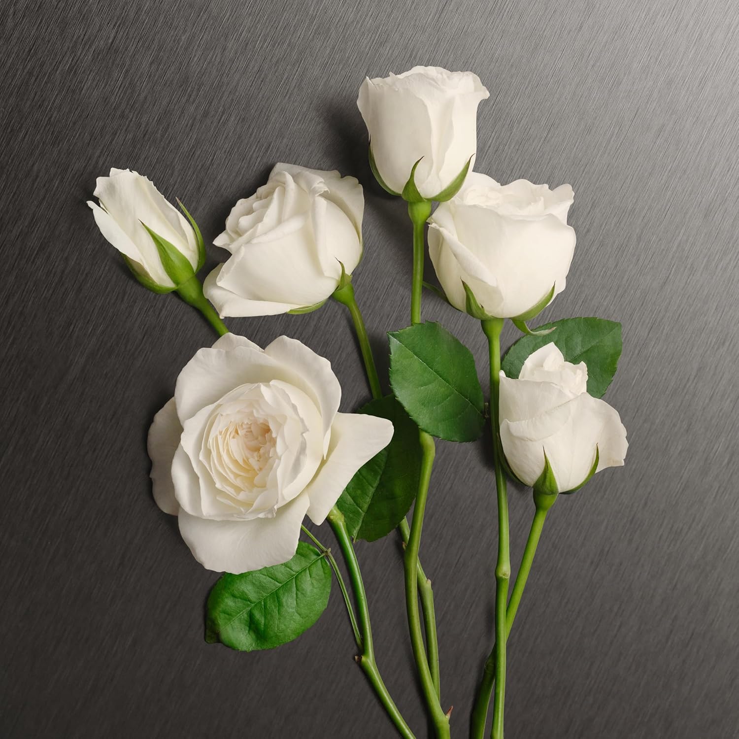 Calvin Klein Eternity Body Lotion With Notes Of Bergamot, White Rose, Sandalwood & Amber 6.7 Fl Oz : Beauty & Personal Care