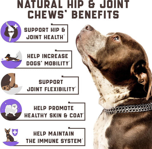 Hemp Joint Supplement For Dogs - Dog Joint Supplement With Glucosamine, Chondroitin, Msm - Supports Hip And Joint Heath, Better Mobility, Skin And Coat - For All Breeds And Ages - 180 Dog Chews, Duck