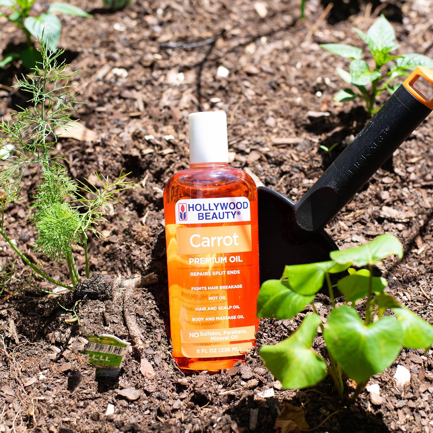 Hollywood Beauty Carrot Hair Oil, 2Oz Bottle, Hair, Scalp, Skin, Nail, & Massage Oil, Helps Repair Damaged Hair & Skin, Can Be Used As A Hot Oil Treatment : Beauty & Personal Care