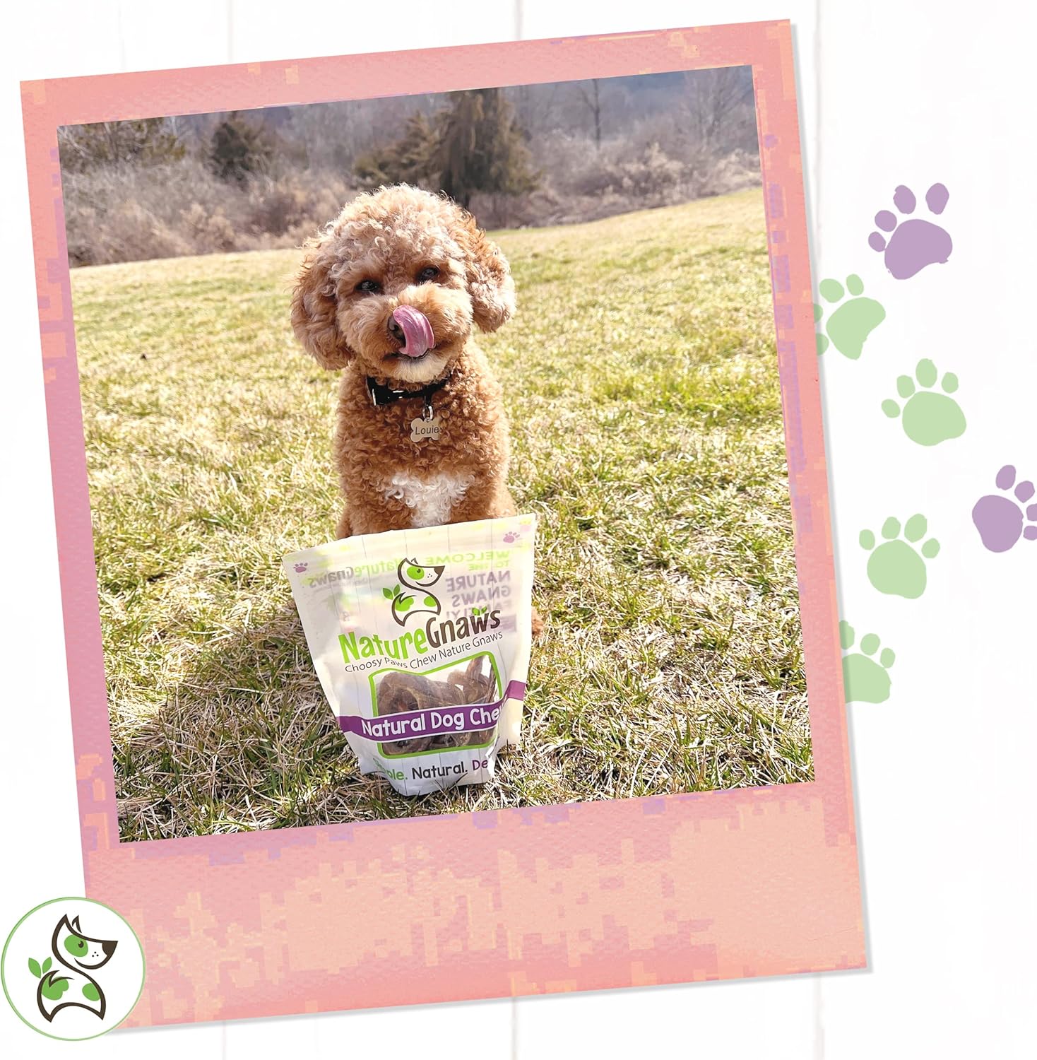 Nature Gnaws Pork Bully Stick Pretzels for Dogs 4-5" (15 Ccount) - Long Lasting for Light Chewers and Small Dogs - Natural Bacon Dog Chew Treats : Pet Supplies