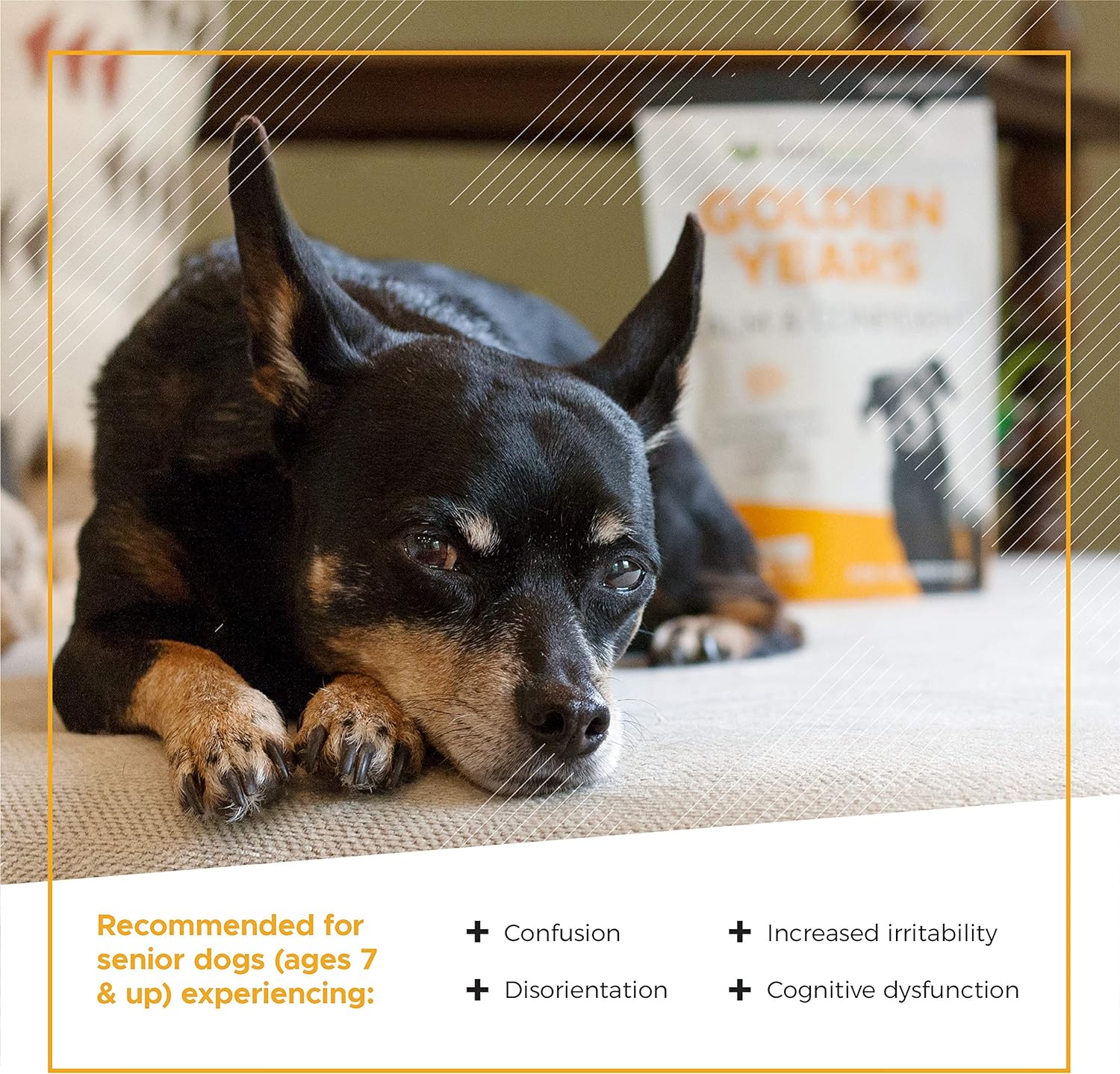 VetriScience Golden Years Calm and Confident Cognitive Support for Senior Dogs, Chicken, 60 Chews - Confusion, Anxiety, and Restlessness Support Supplement : Pet Supplies