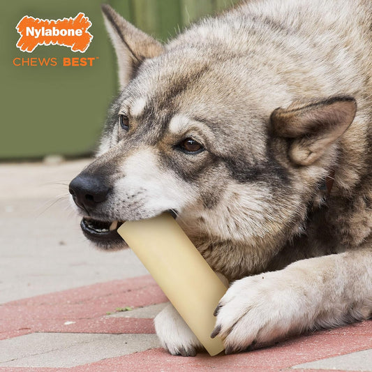 Nylabone Dura Chew Giant Marrow Bone Alternative Beef Flavor Dog Chew Toy (1 Count)