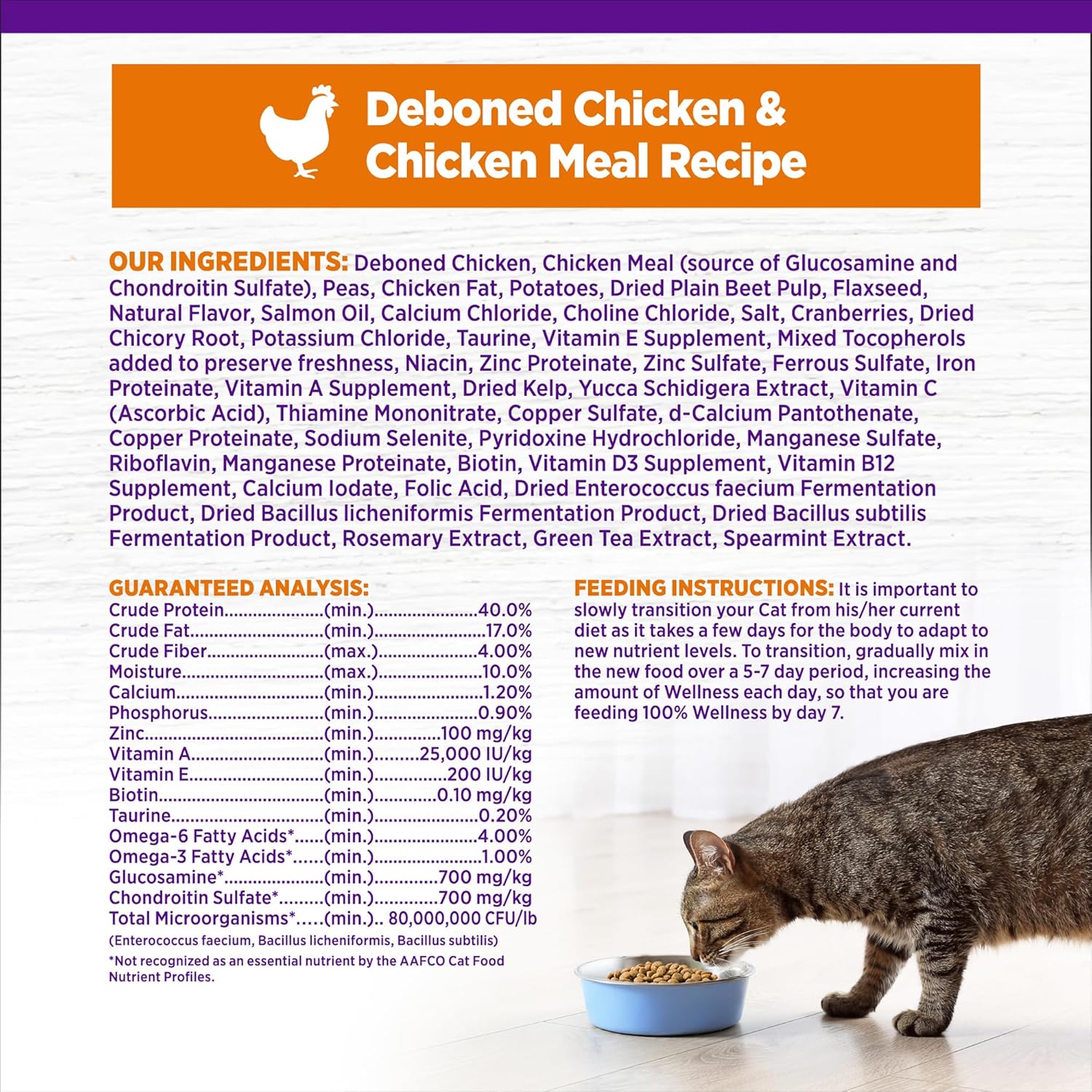 Wellness Natural Pet Food Complete Health Natural Grain Free Deboned Chicken & Chicken Meal Dry Cat Food, 5.5 Pound Bag : Pet Supplies