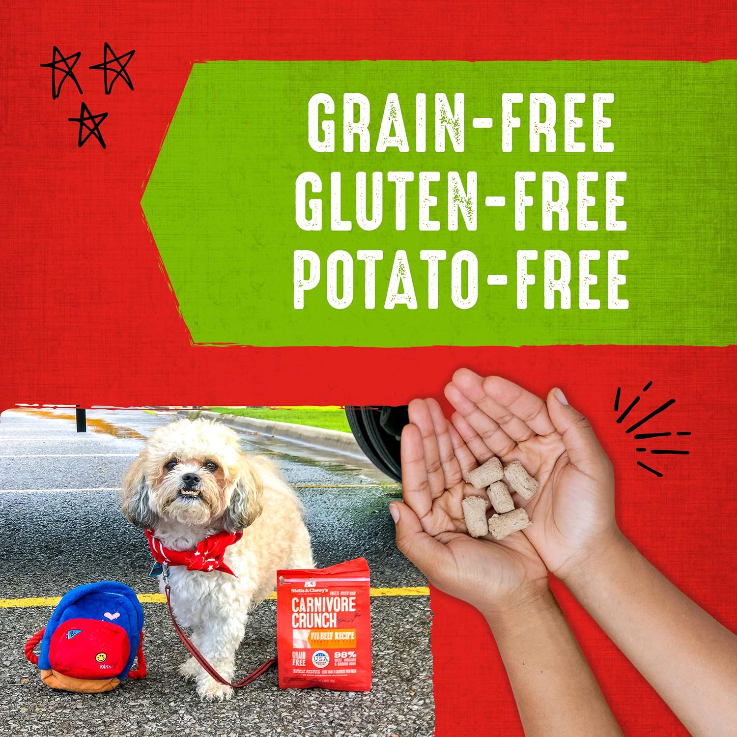 Stella & Chewy's Freeze-Dried Raw Carnivore Crunch Cage-Free Duck Recipe Dog Treats – 3.25 oz. Bag : Pet Snack Treats : Pet Supplies