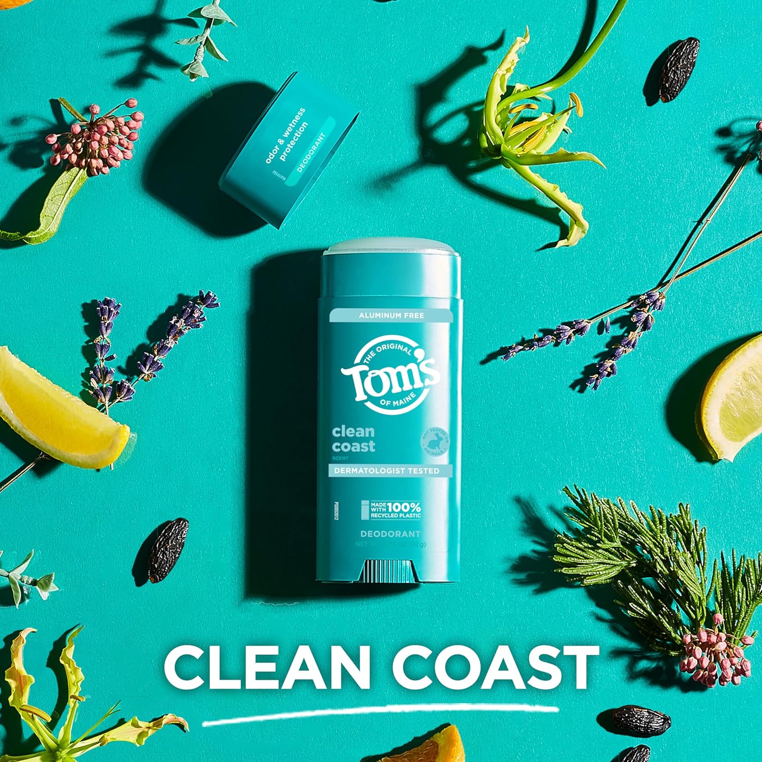 Tom’s of Maine Clean Coast Natural Deodorant for Men and Women, Aluminum Free, 3.25 oz : Everything Else