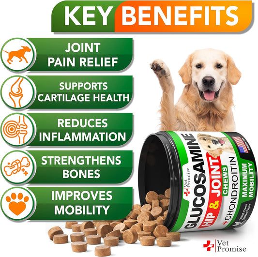 Vet Promise Glucosamine for Dogs - Hip and Joint Supplement for Dogs - Glucosamine Chondroitin for Dogs - Dog Joint Pain Relief - MSM - Advanced Support - 115 Mobility Chews
