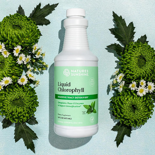 Nature'S Sunshine Liquid Chlorophyll - Immunity Support, Detox & Cleanse, Chlorophyll Liquid Drops With Spearmint Oil, Natural Energy Boost, Internal Deodorant - 16 Fl Oz