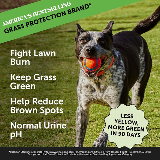 Pet Honesty Grass Green - Pee Grass Spot Saver Caused by Dog Urine, Gut Health Probiotics, Dog Urine Neutralizer for Lawn, Grass Burn Spot Chews, Cranberry, Apple Cider Vinegar, Dog Rocks (Duck 90 ct)