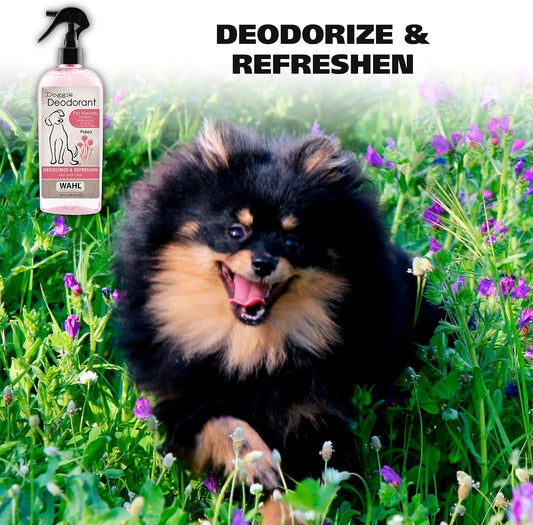 Wahl Usa Cornflower Aloe Pet Deodorant Spray For All Dogs & Cats – Clean Fresh Smell Refreshes & Deodorizes – 8 Oz - Model 820009A