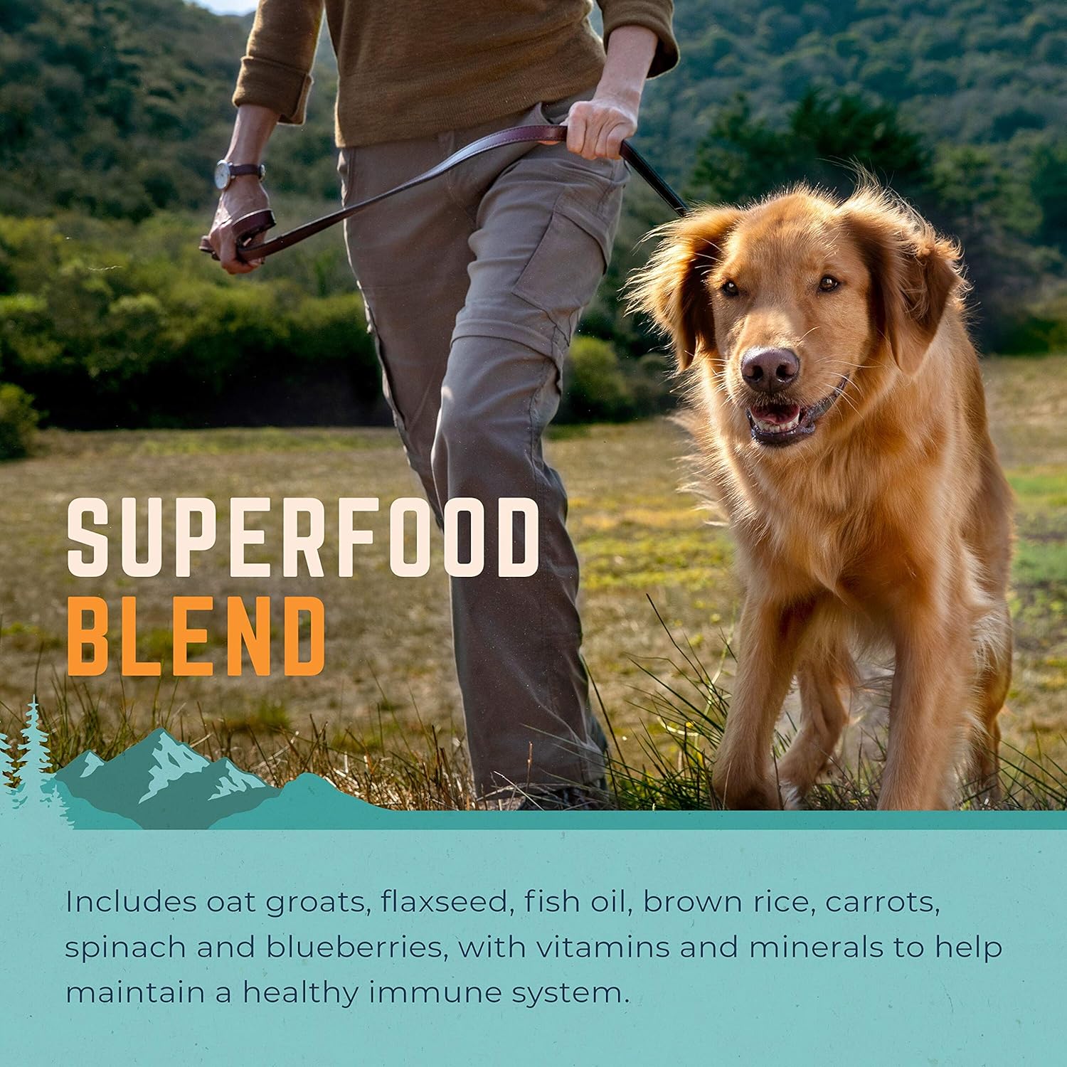 Natural Balance Original Ultra Chicken & Barley, Small-Breed Bites Dry Dog Food, 4-lb. Bag : Pet Supplies