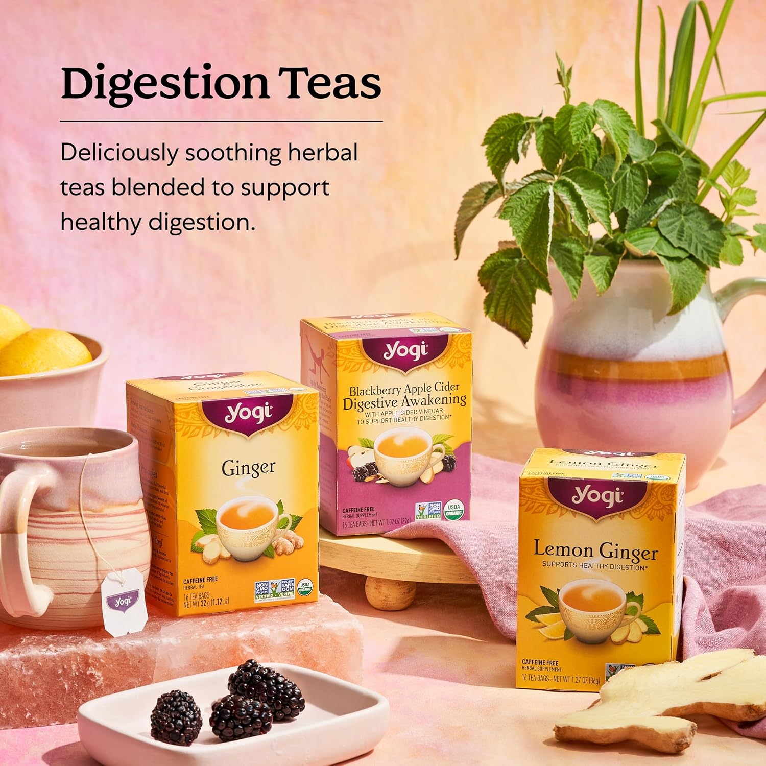 Yogi Tea Ginger Tea Variety Pack - 16 Tea Bags Per Pack (3 Packs) - Caffeine-Free Digestive Teas - Organic Ginger Teas - Includes Ginger Tea, Mango Ginger Tea & Lemon Ginger Tea