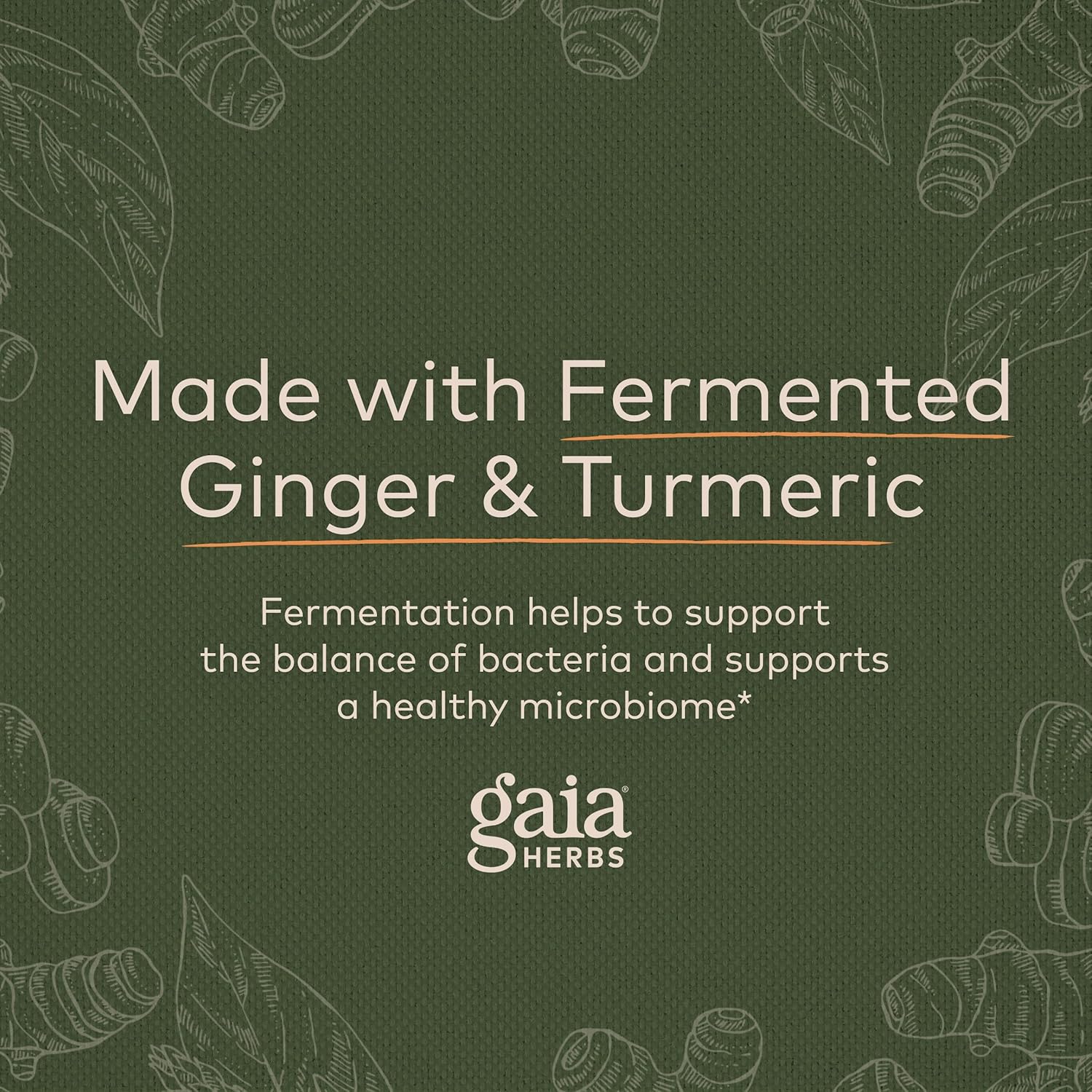 Gaia Herbs Ginger-Turmeric Postbiotic - Premium Digestive Support Supplement for Gut Health - Made with Fermented Turmeric & Ginger - Free from Dairy, Soy & Gluten - 60 Vegan Capsules (30 Servings) : Health & Household