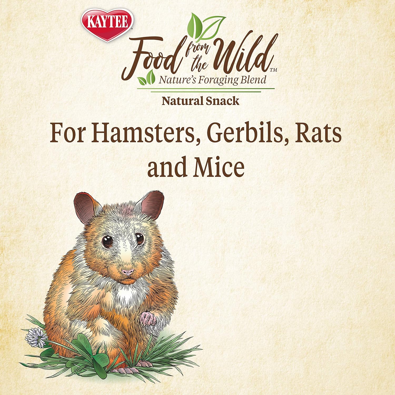 Kaytee Food from The Wild Natural Snack for Pet Hamsters, Gerbils, Rats and Mice, 2 Ounces : Pet Supplies