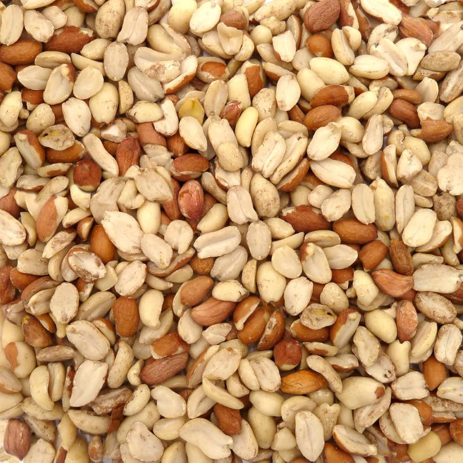 Split Peanuts for Wild Birds 12.55kg - High Energy Food, High Protein Feed, Rich in Fats and Fibre, Great for Hanging Feeders, Bird Tables and Ground Feeding, Bulk Bag - Buzzby's?83138456