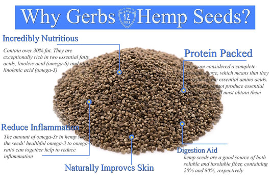 GERBS Roasted Unsalted Whole Hemp Seeds 2 LBS. Premium Grade | Resealable Bulk Bag |High in Magnesium, Protein & Fiber| Gluten Peanut Tree Nut Free