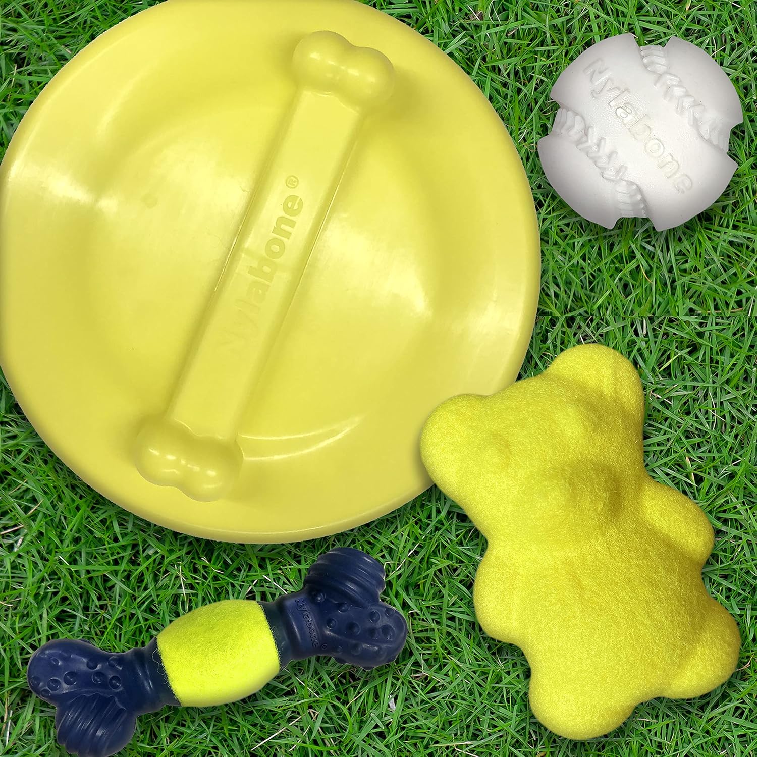 Pet Supplies : Nylabone Power Play Ultra Glider Gripz Dog Flying Disc Large (1 Count) : Amazon.com