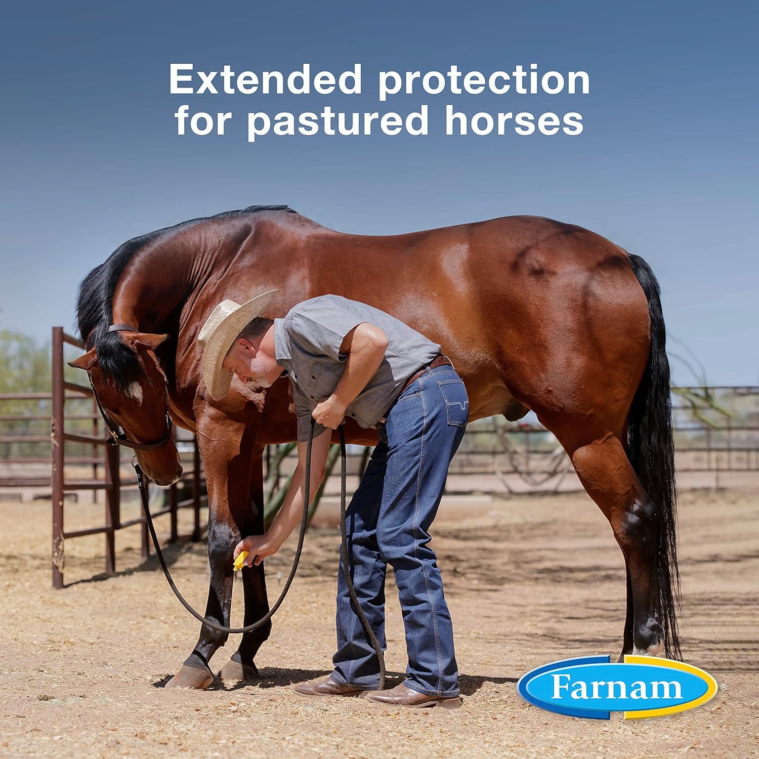 Farnam Equi-Spot, Horse Fly Control, Long-lasting Protection, 6 Applications, 12-Week Supply for One Horse : Farnam/VPL Central Life Sciences