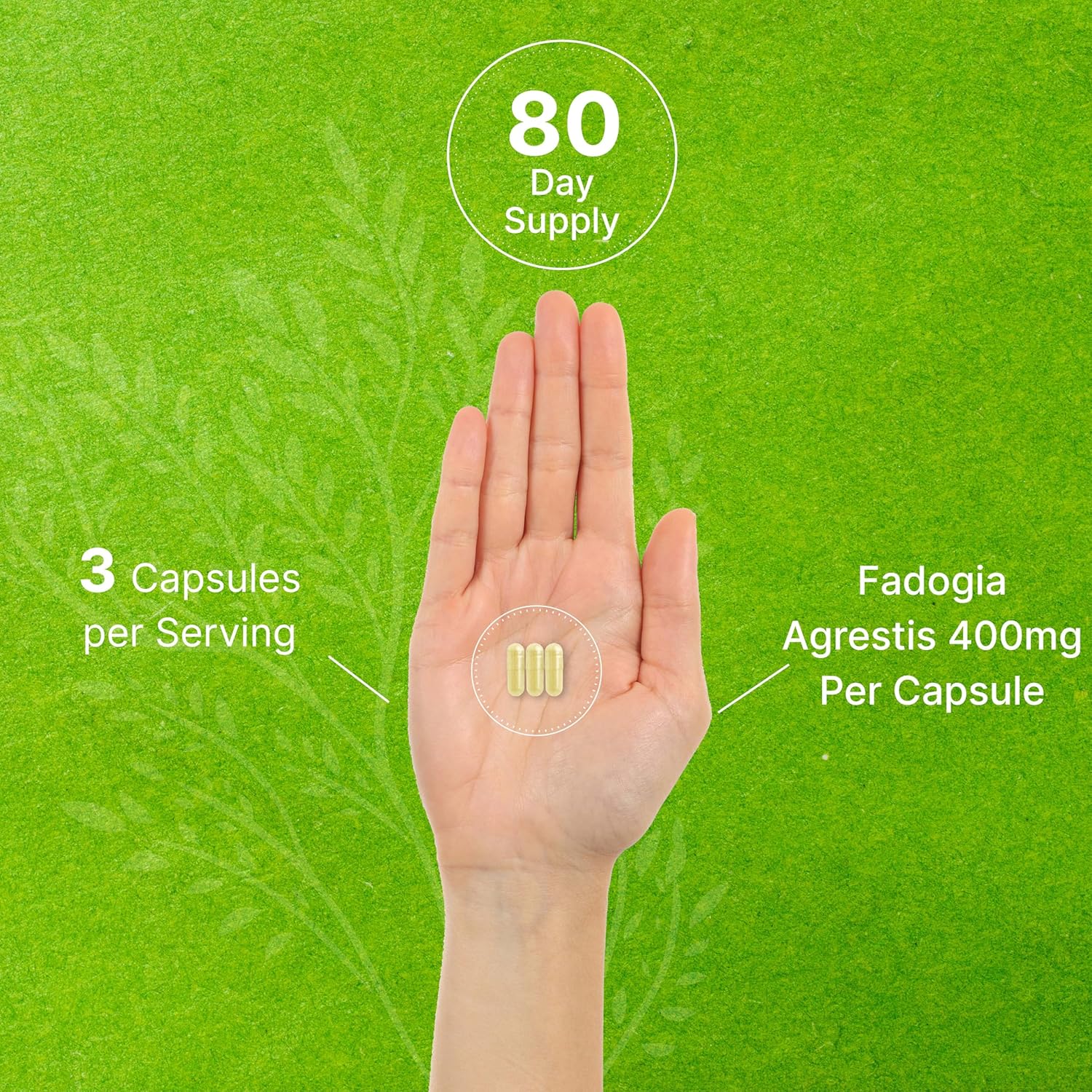 DEAL SUPPLEMENT Fadogia Agrestis 1,200 mg Per Serving, 240* Capsules – 50:1 Extract from Root, Plant Based, Highly Purified and Bioavailable – Gluten Free, Non-GMO, Third Party Tested : Health & Household