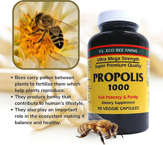 Y.S. Organic Bee Farms Propolis-Raw Unprocessed 1000mg - Your Gateway