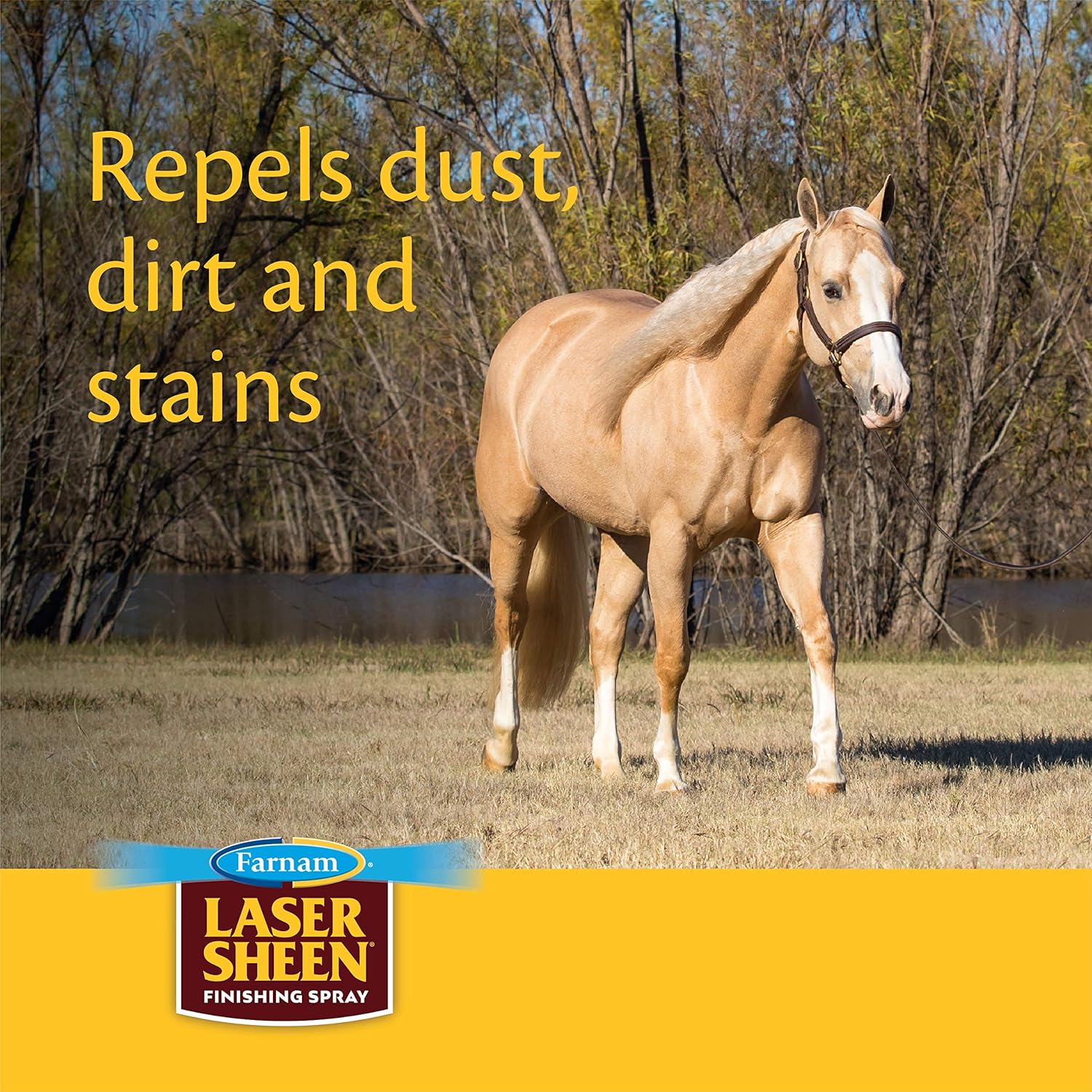 Farnam Laser Sheen Dazzling Shine & Detangler Spray 32 Ounces : Horse Coat Care : Pet Supplies